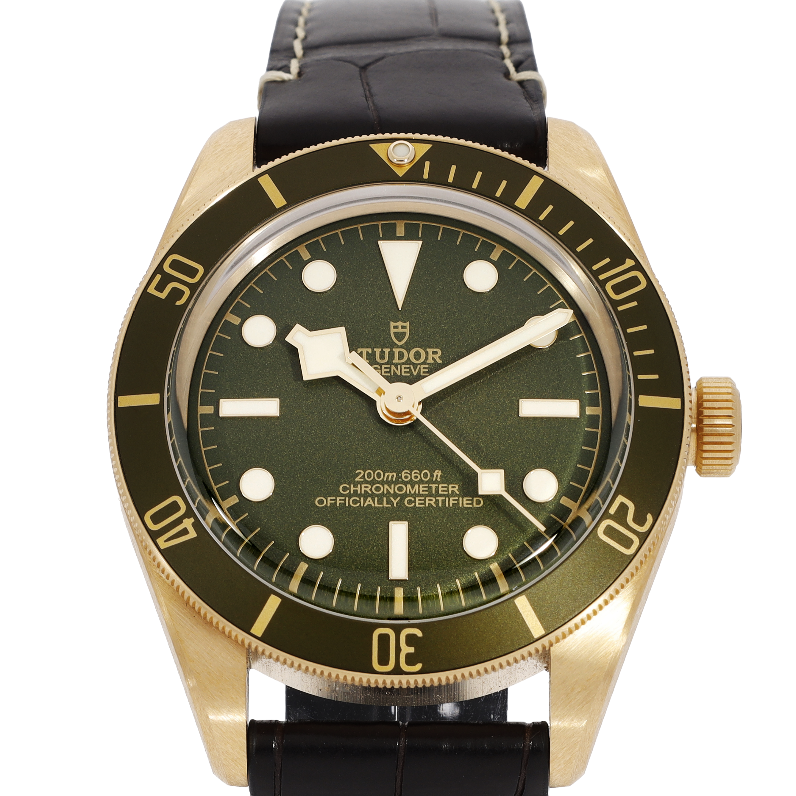 Tudor Black Bay 79018V