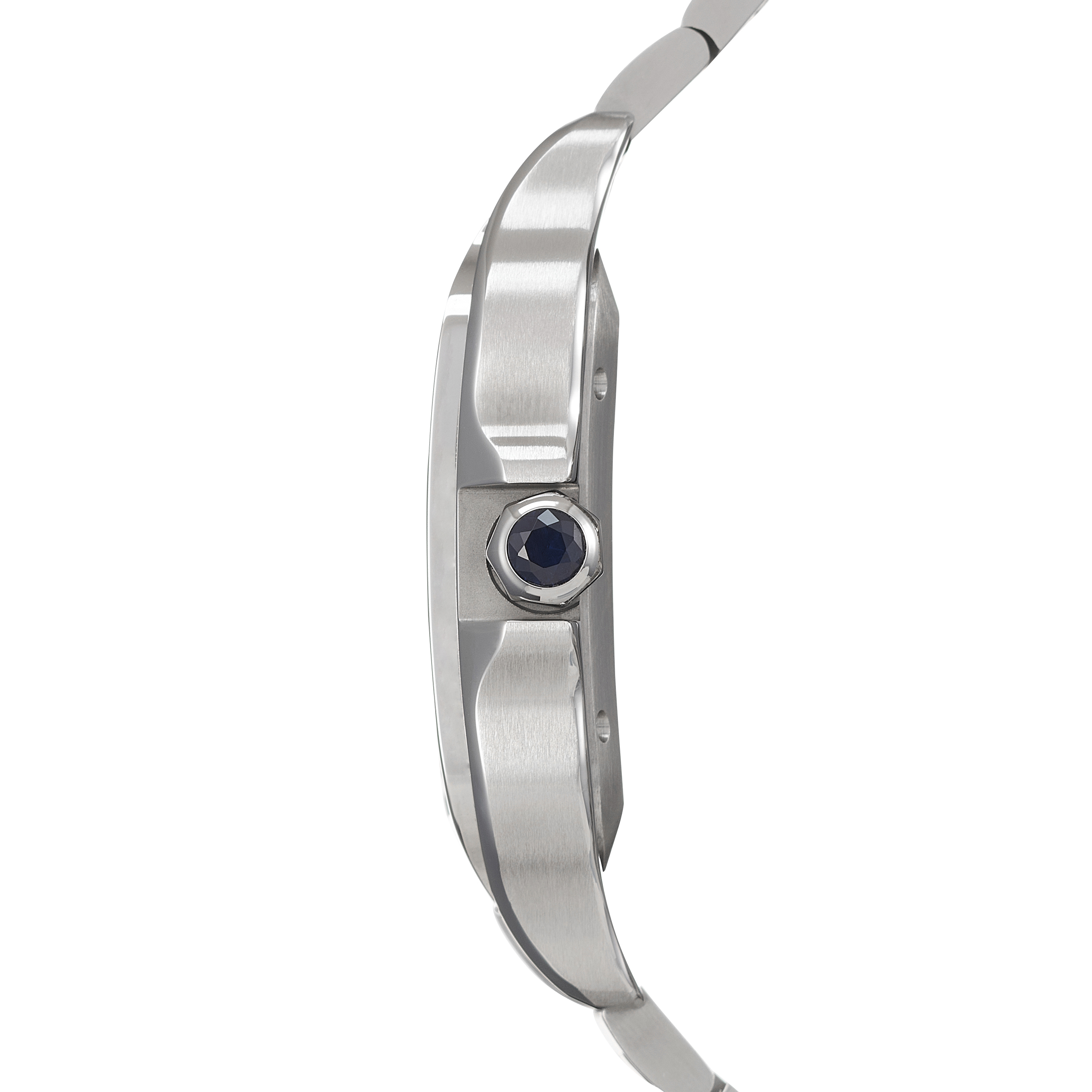 Cartier Santos WSSA0030