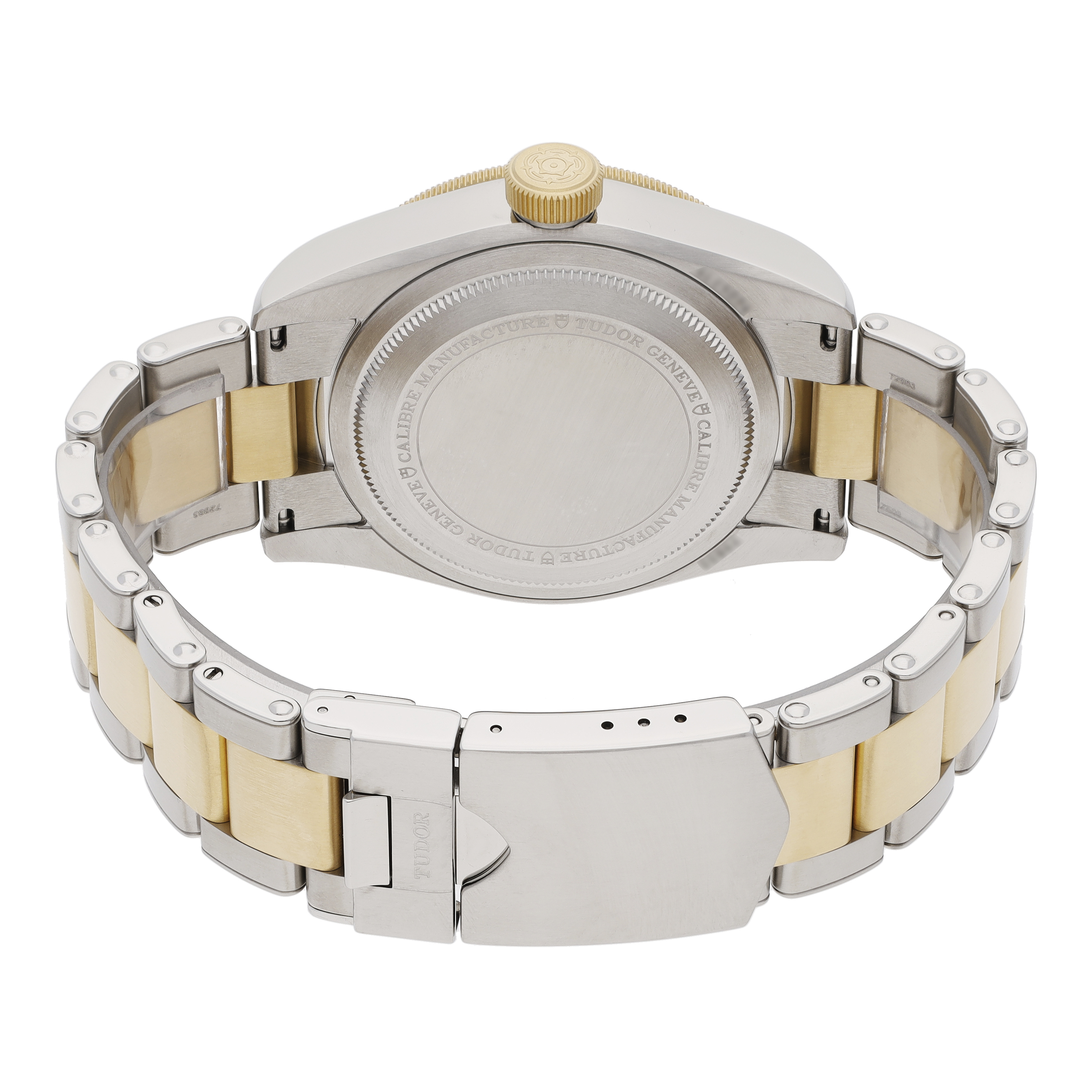 Tudor Black Bay 79833MN