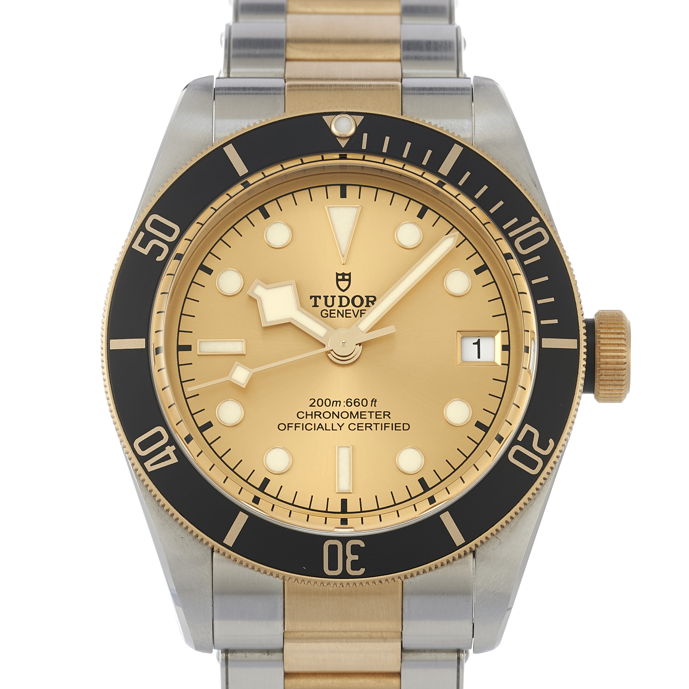 Tudor Black Bay 79733N