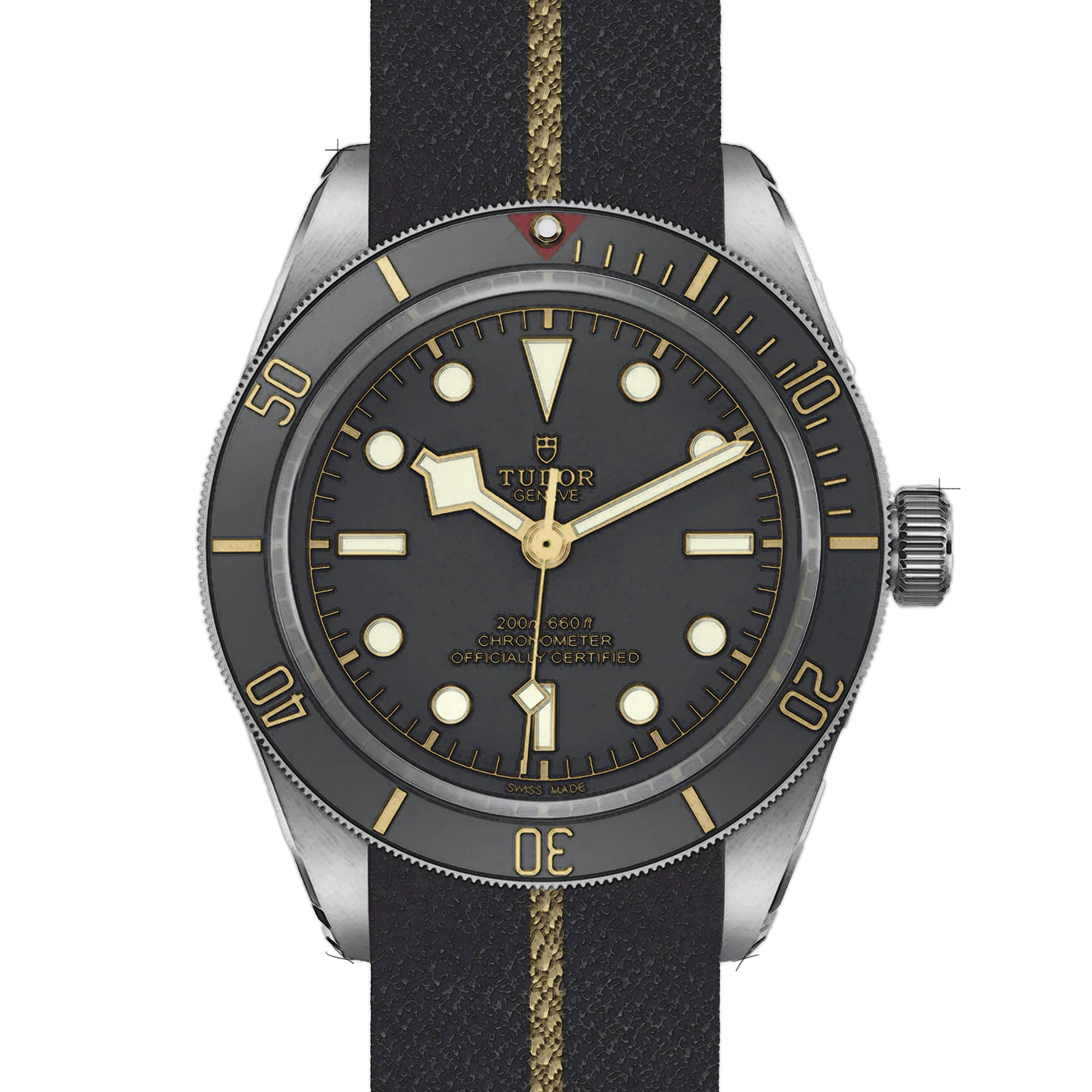 Tudor Black Bay 79030N