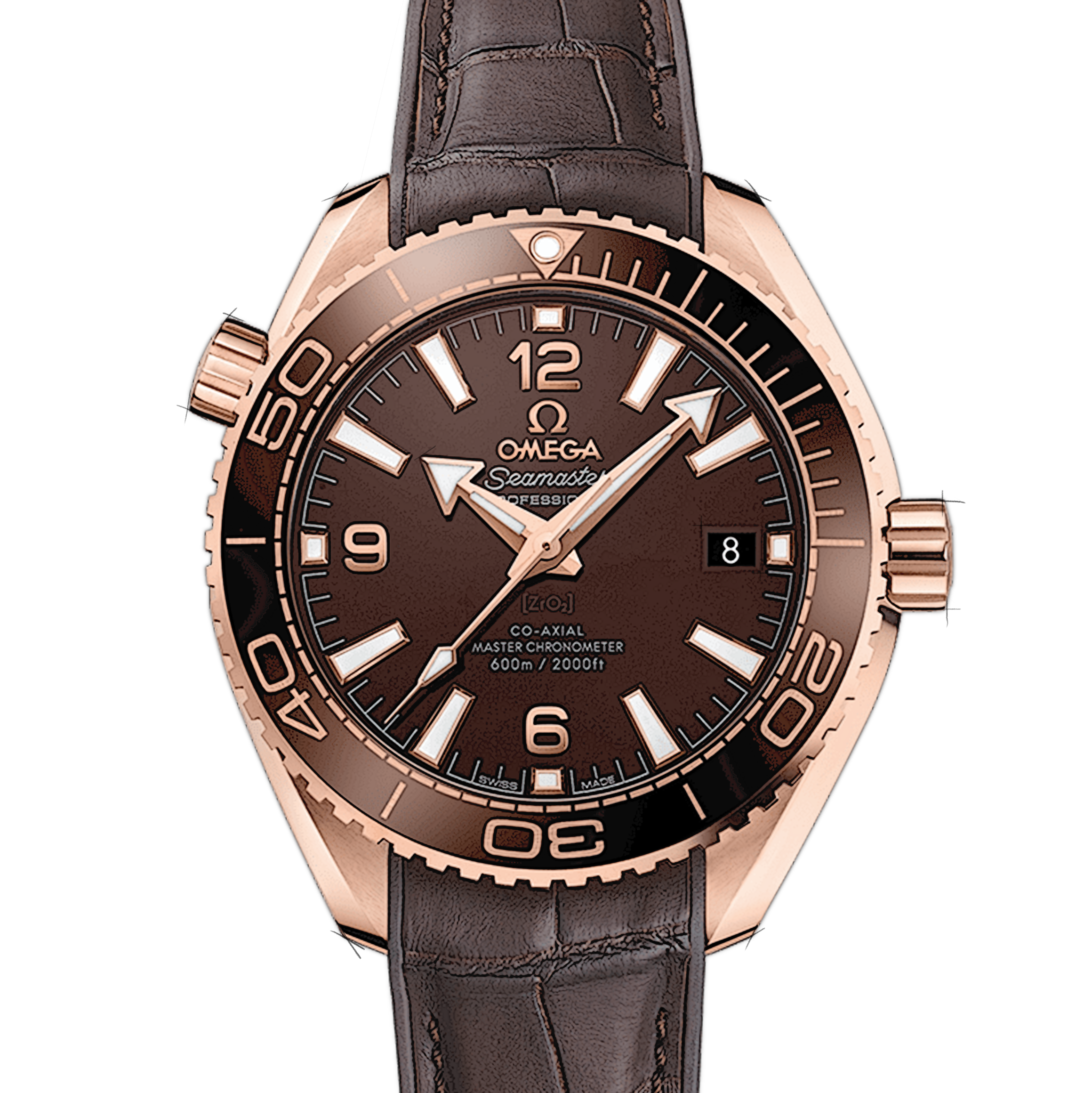 Omega Seamaster Planet Ocean 600M Co-Axial Master Chronometer