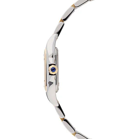 Cartier Panthère W2PN0006 Cartier Panthère W2PN0006