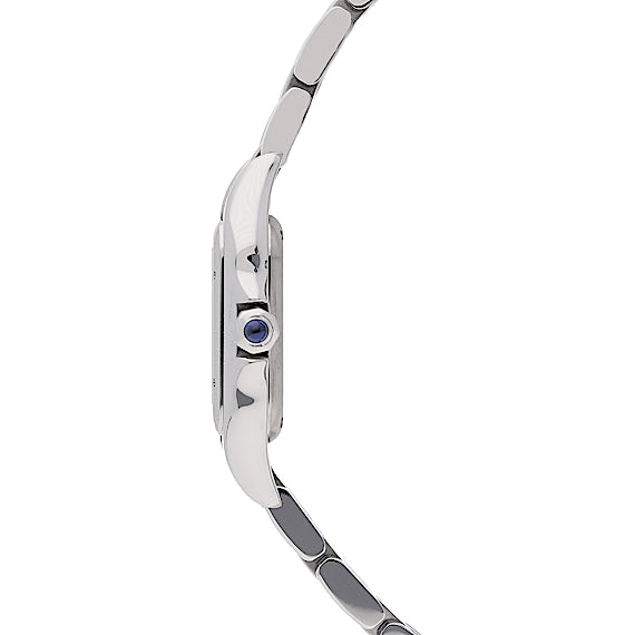 Cartier Panthère WSPN0006 Cartier Panthère WSPN0006