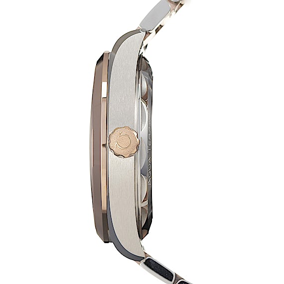 Omega Seamaster 220.20.41.21.06.001 Omega Seamaster 220.20.41.21.06.001