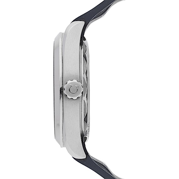 Omega Seamaster 220.12.41.21.03.002 Omega Seamaster 220.12.41.21.03.002