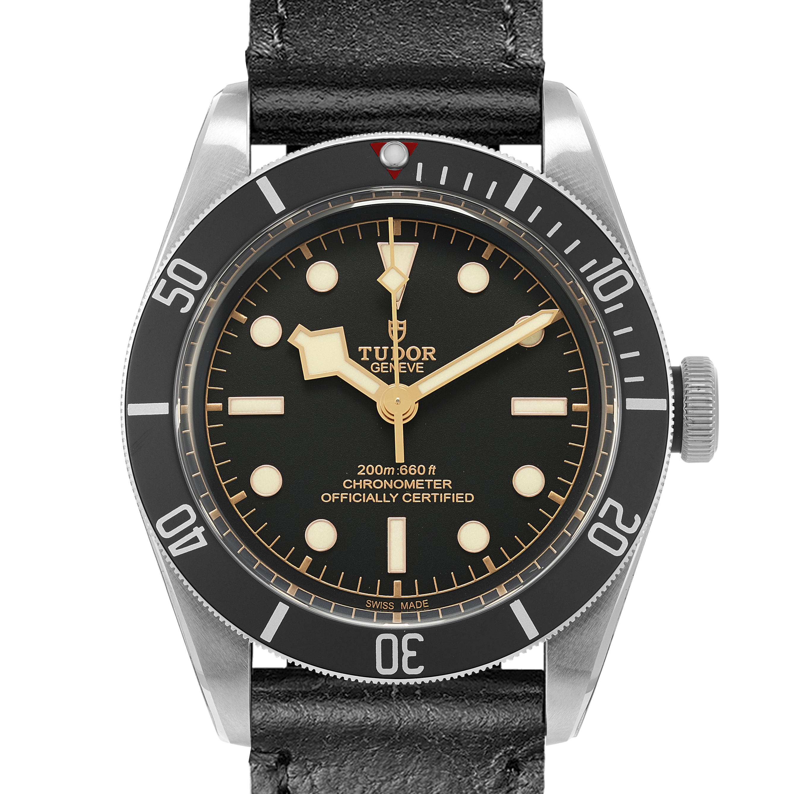 Tudor Black Bay