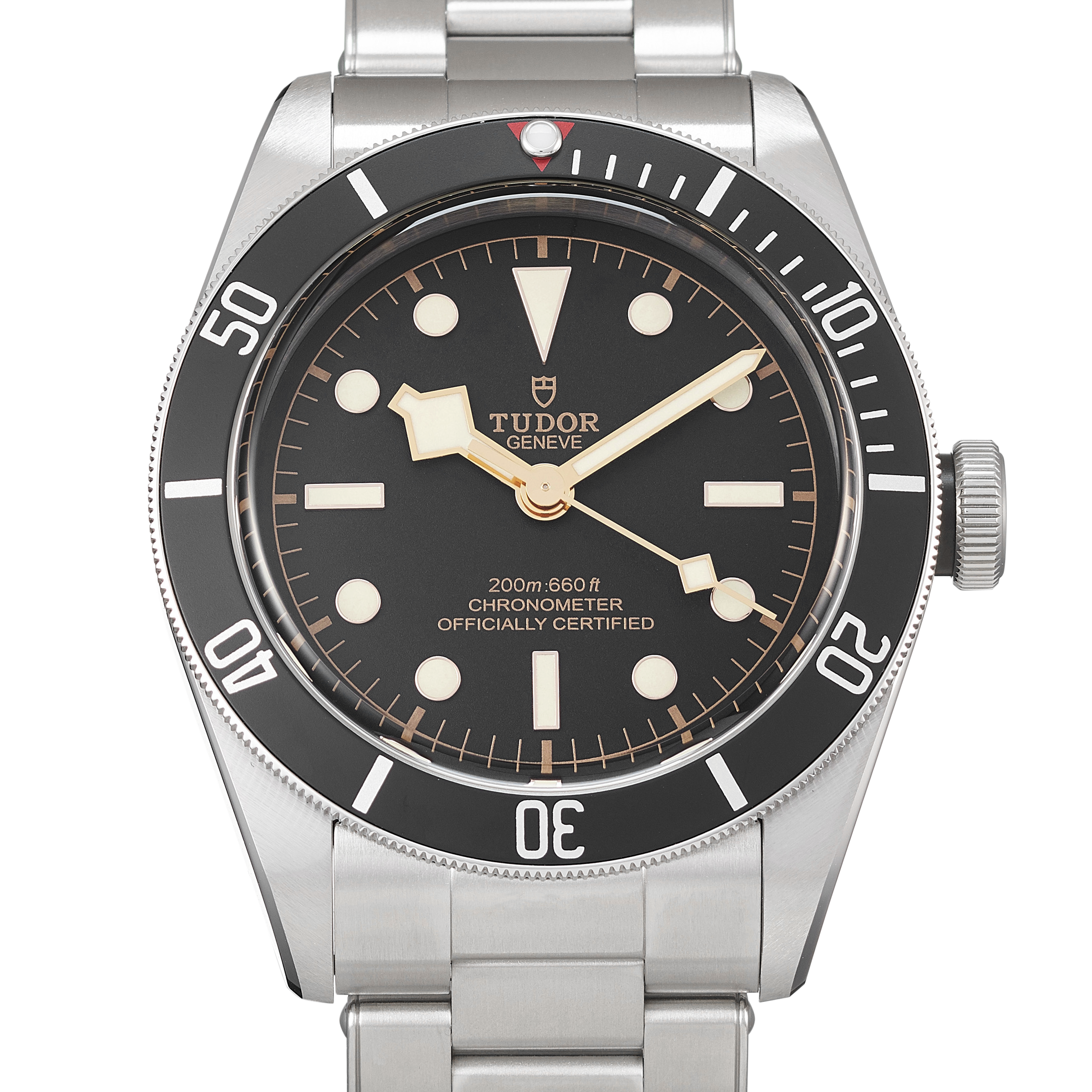 Tudor Black Bay