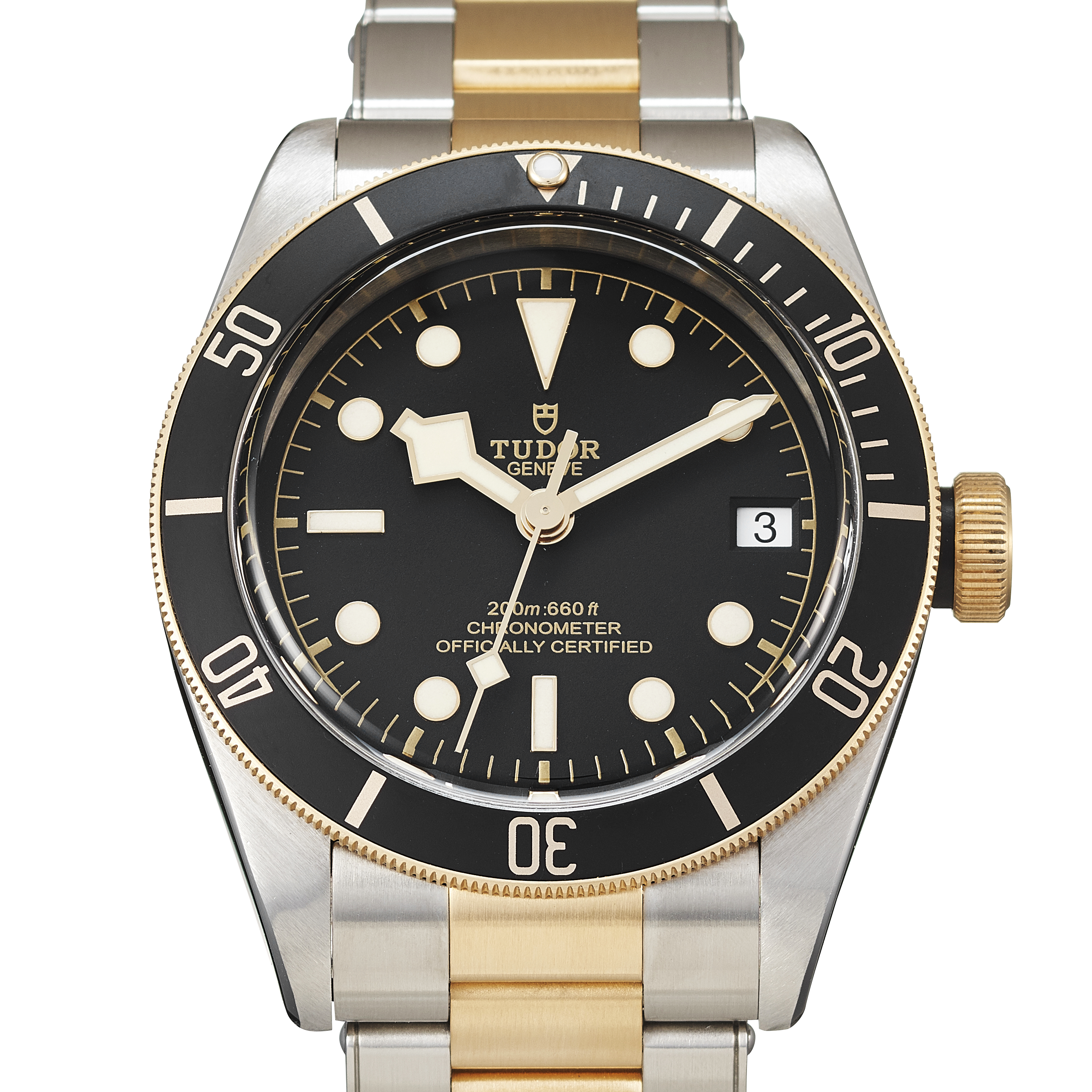 Tudor Black Bay 79733N