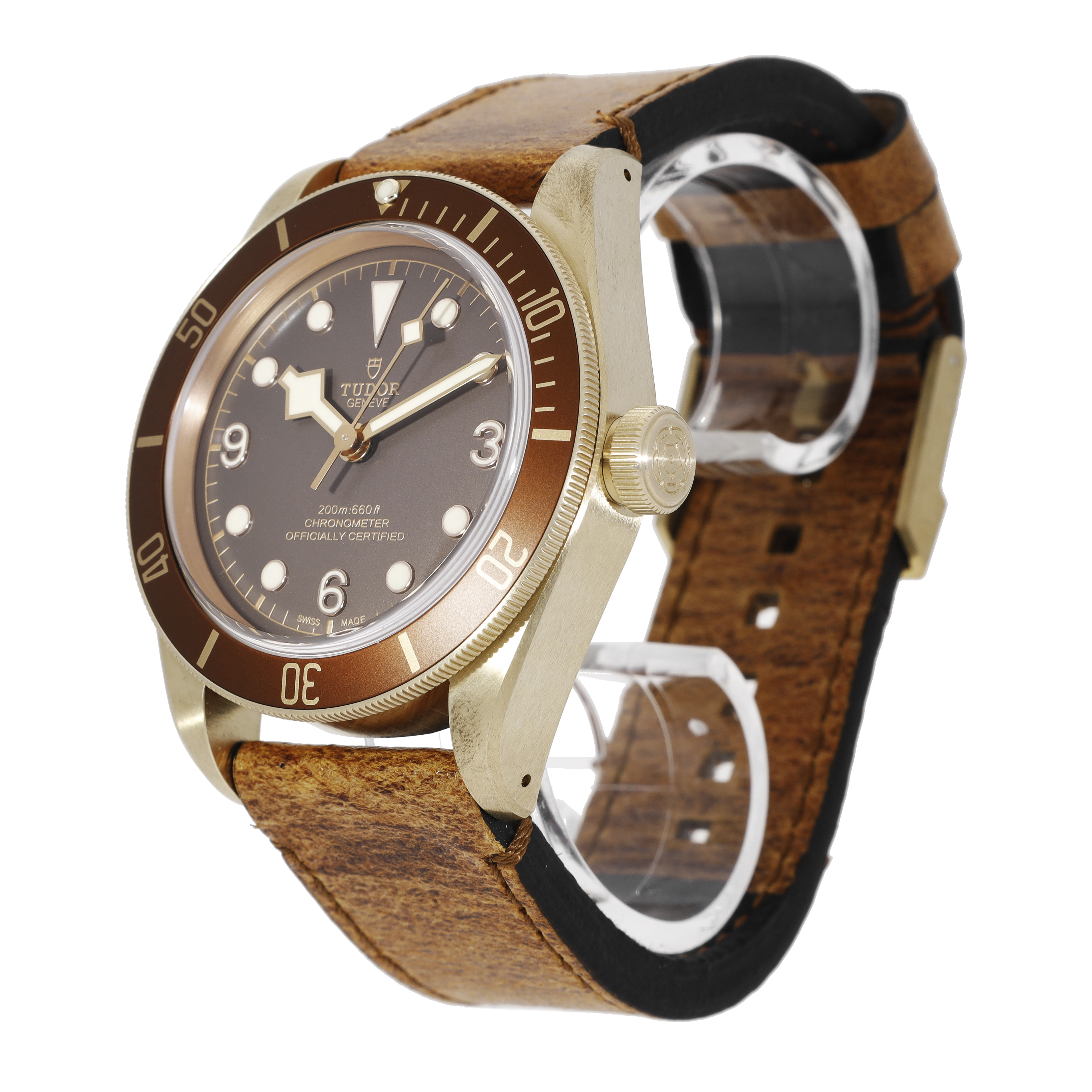 Tudor Black Bay 79250BM