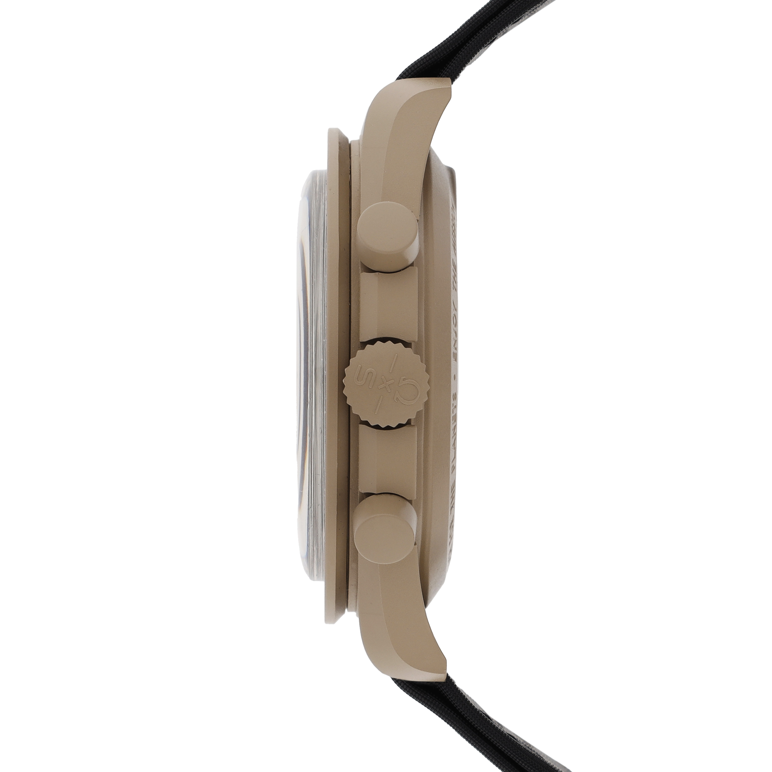 Swatch Moonswatch SO33C100