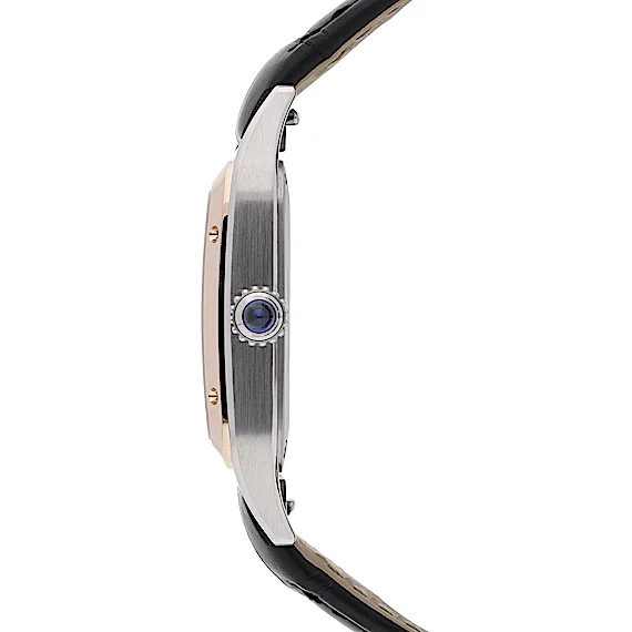 Cartier Santos-Dumont W2SA0017 Cartier Santos-Dumont W2SA0017