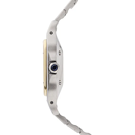 Cartier Santos 1172961 Cartier Santos 1172961