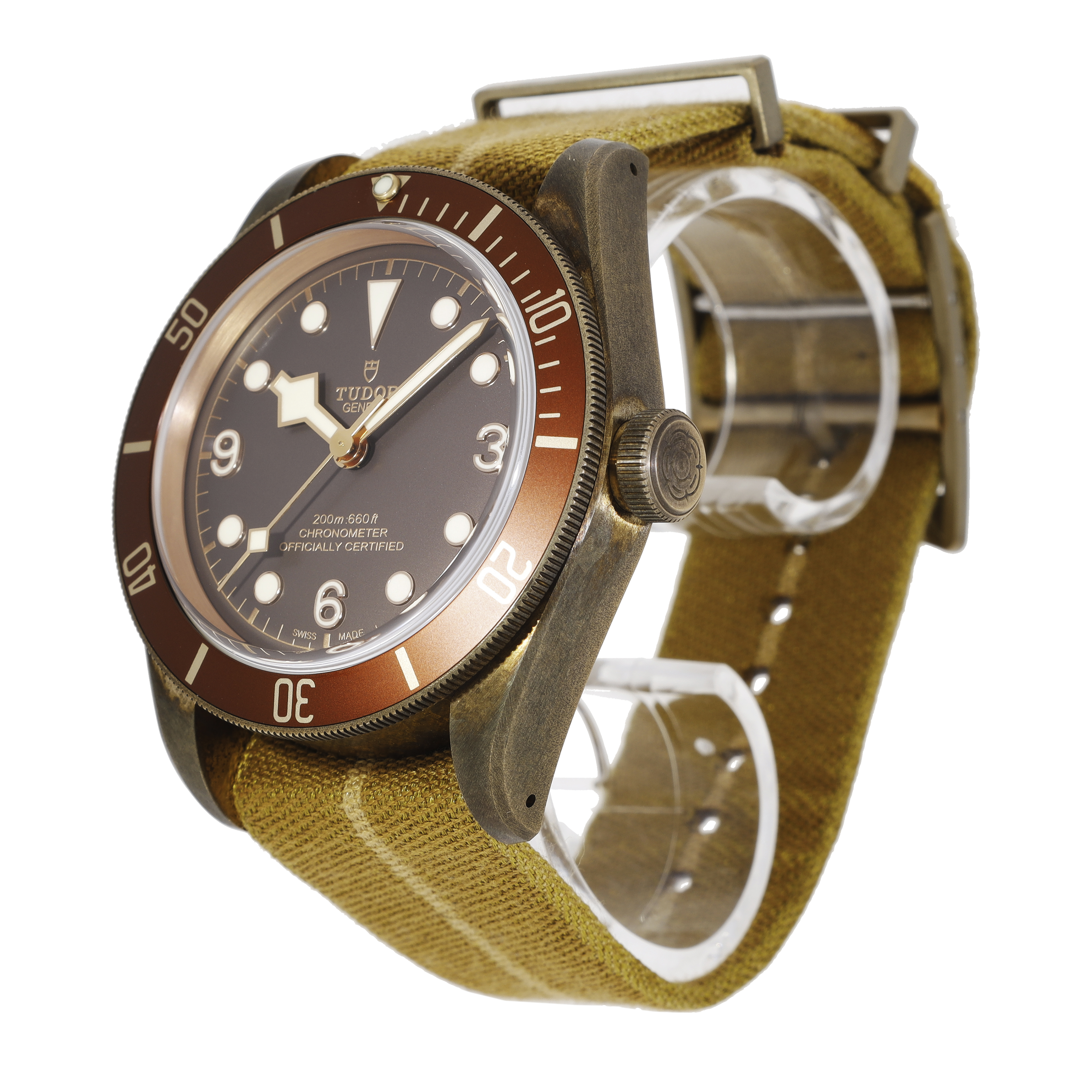 Tudor Black Bay 79250BM