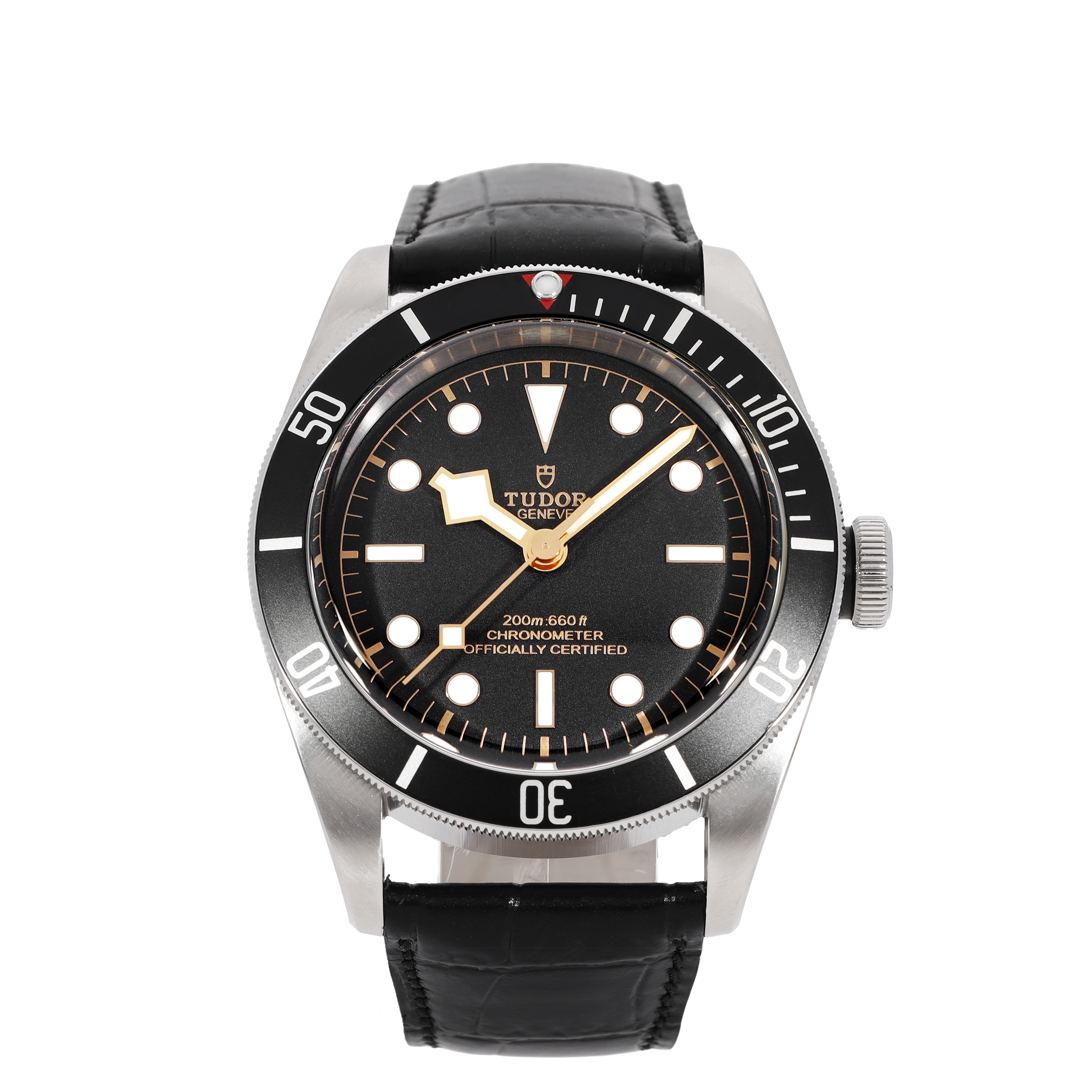 Tudor Black Bay 79230N