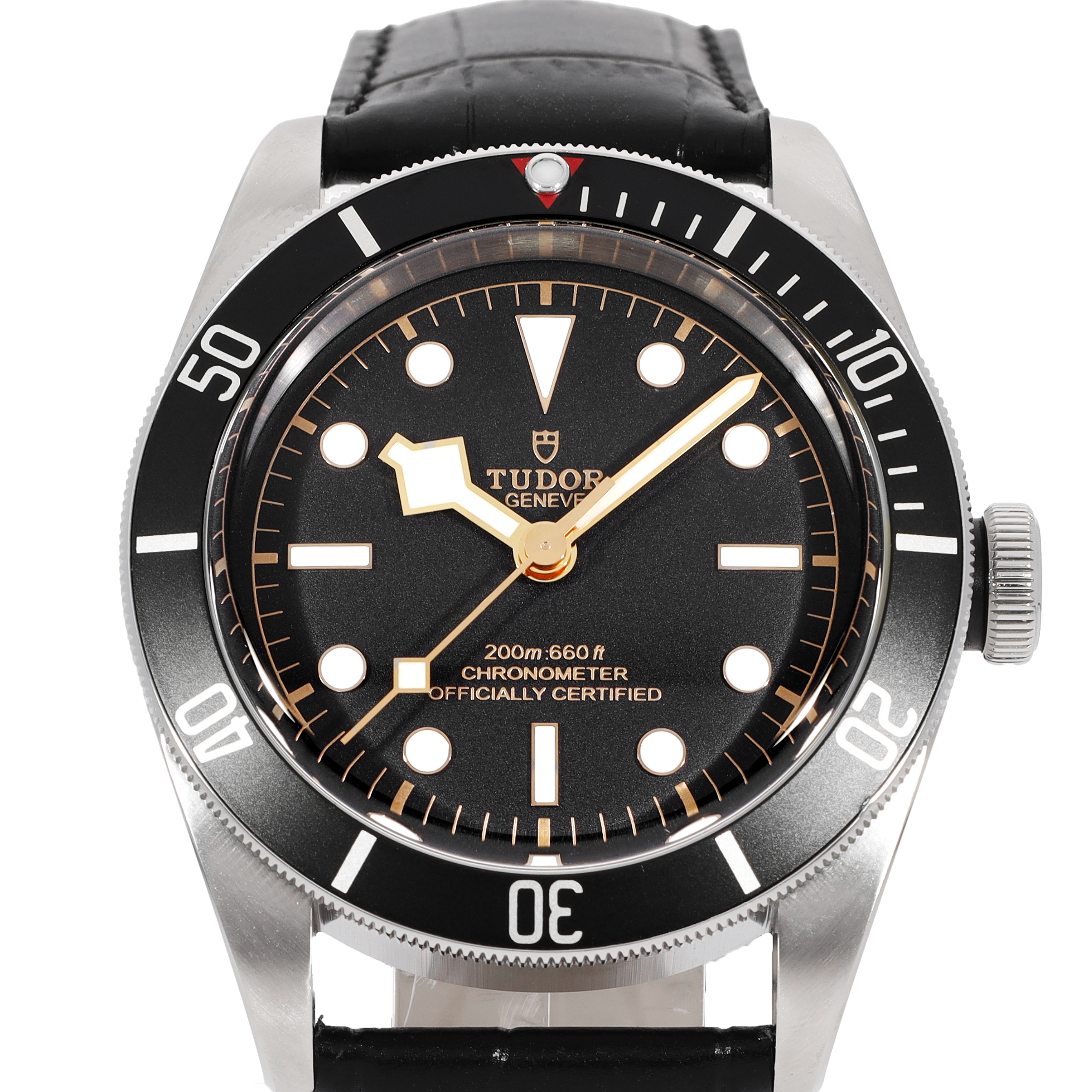 Tudor Black Bay 79230N