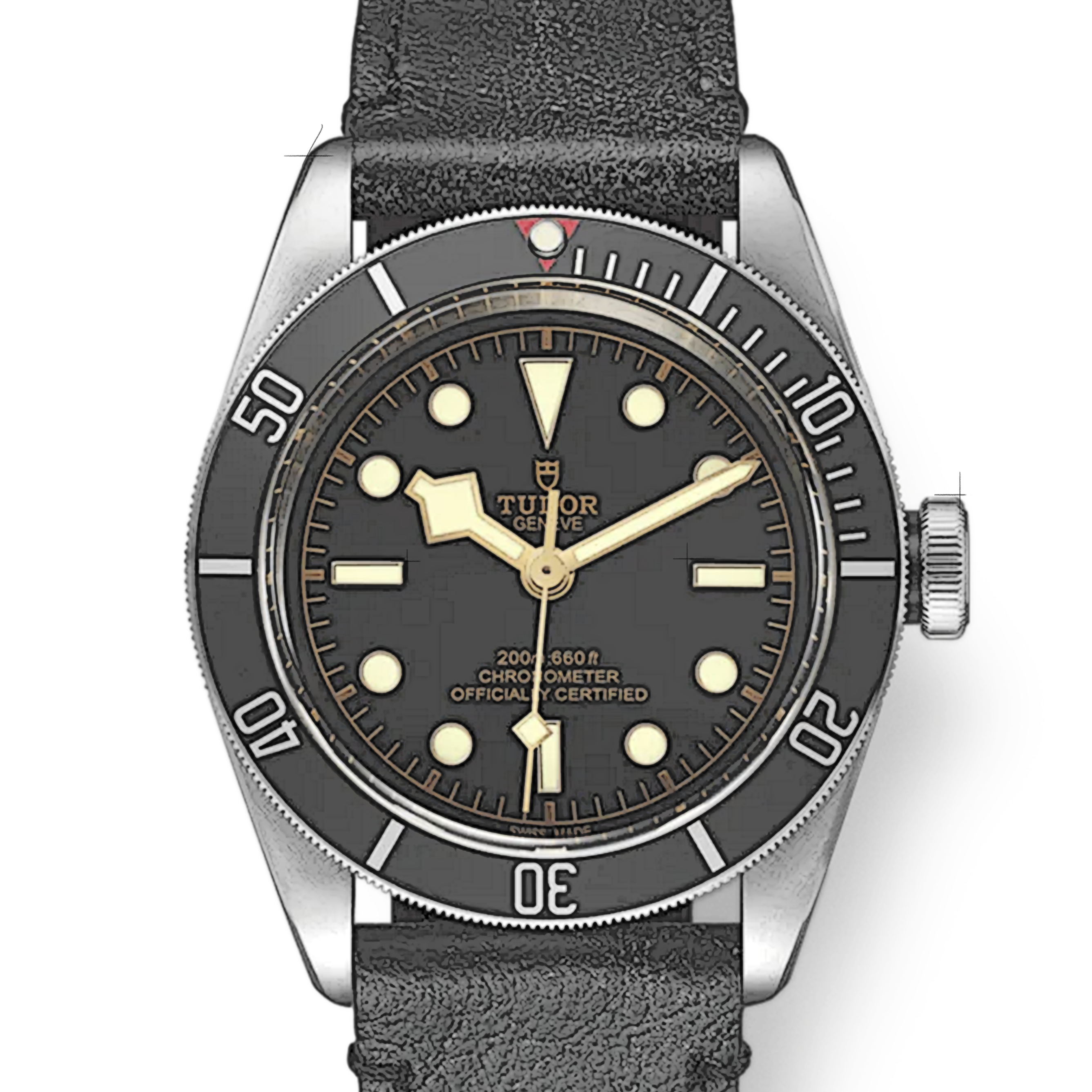 Tudor Black Bay