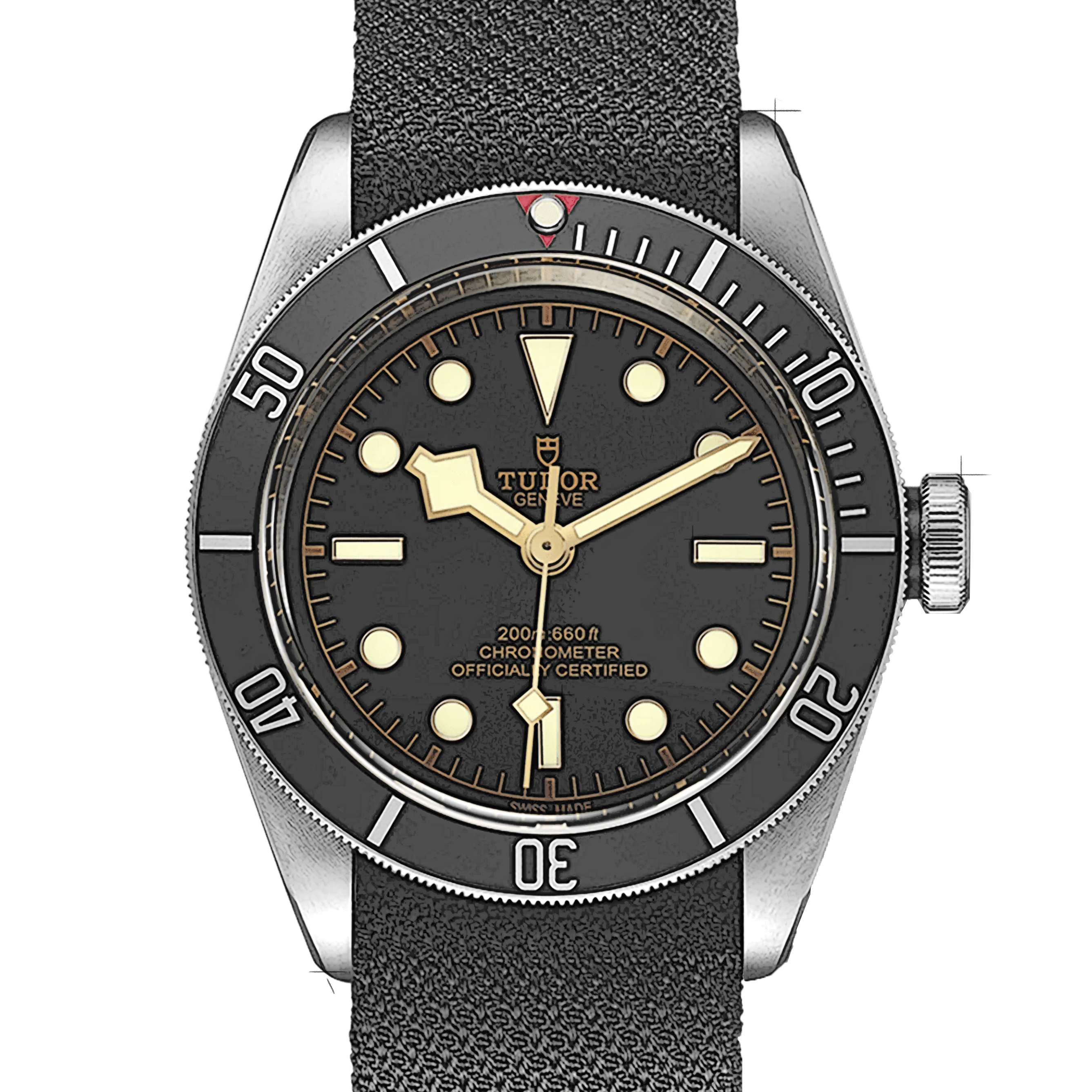 Tudor Black Bay