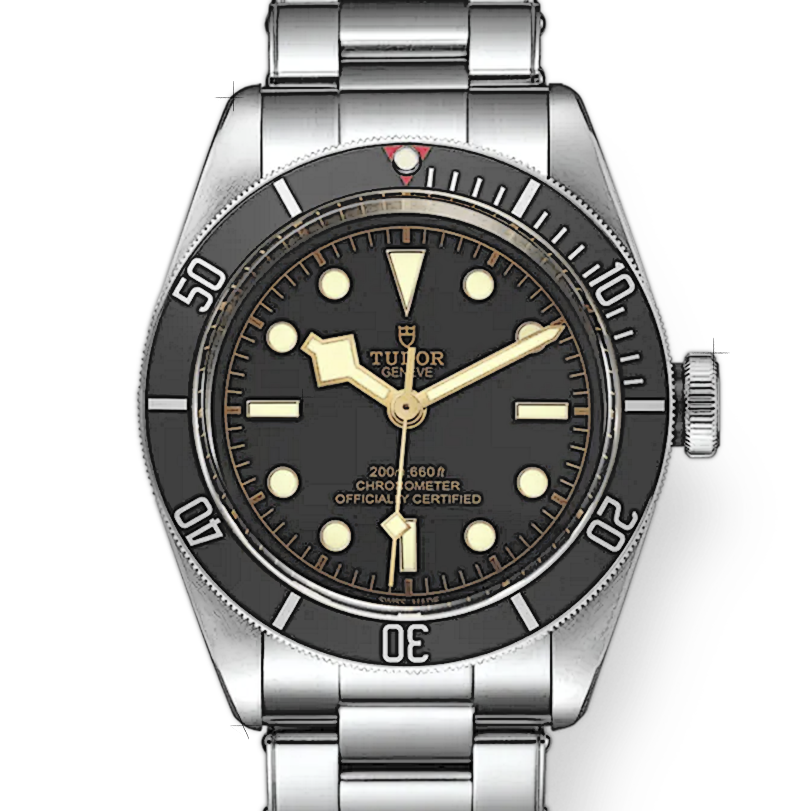 Tudor Black Bay