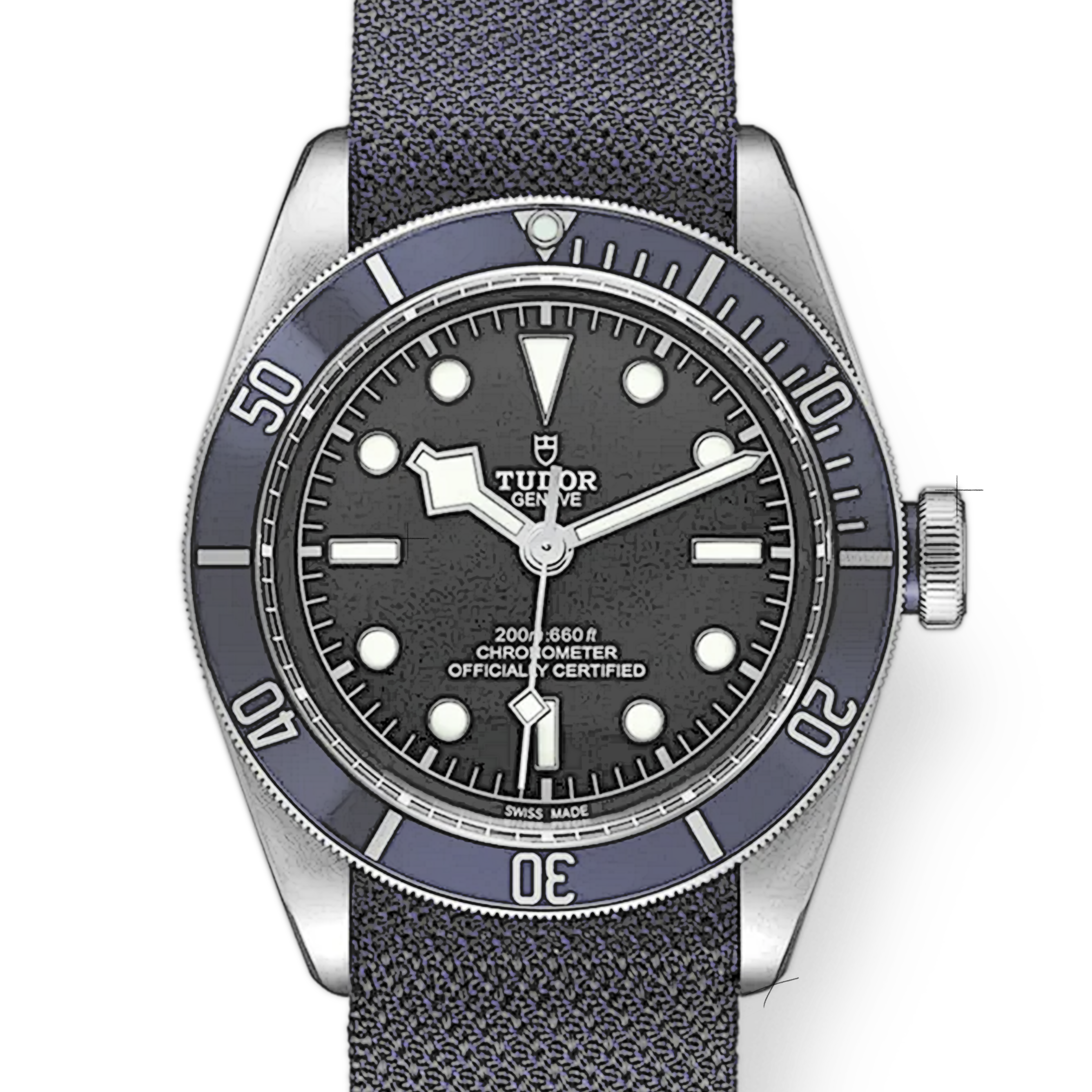 Tudor Black Bay
