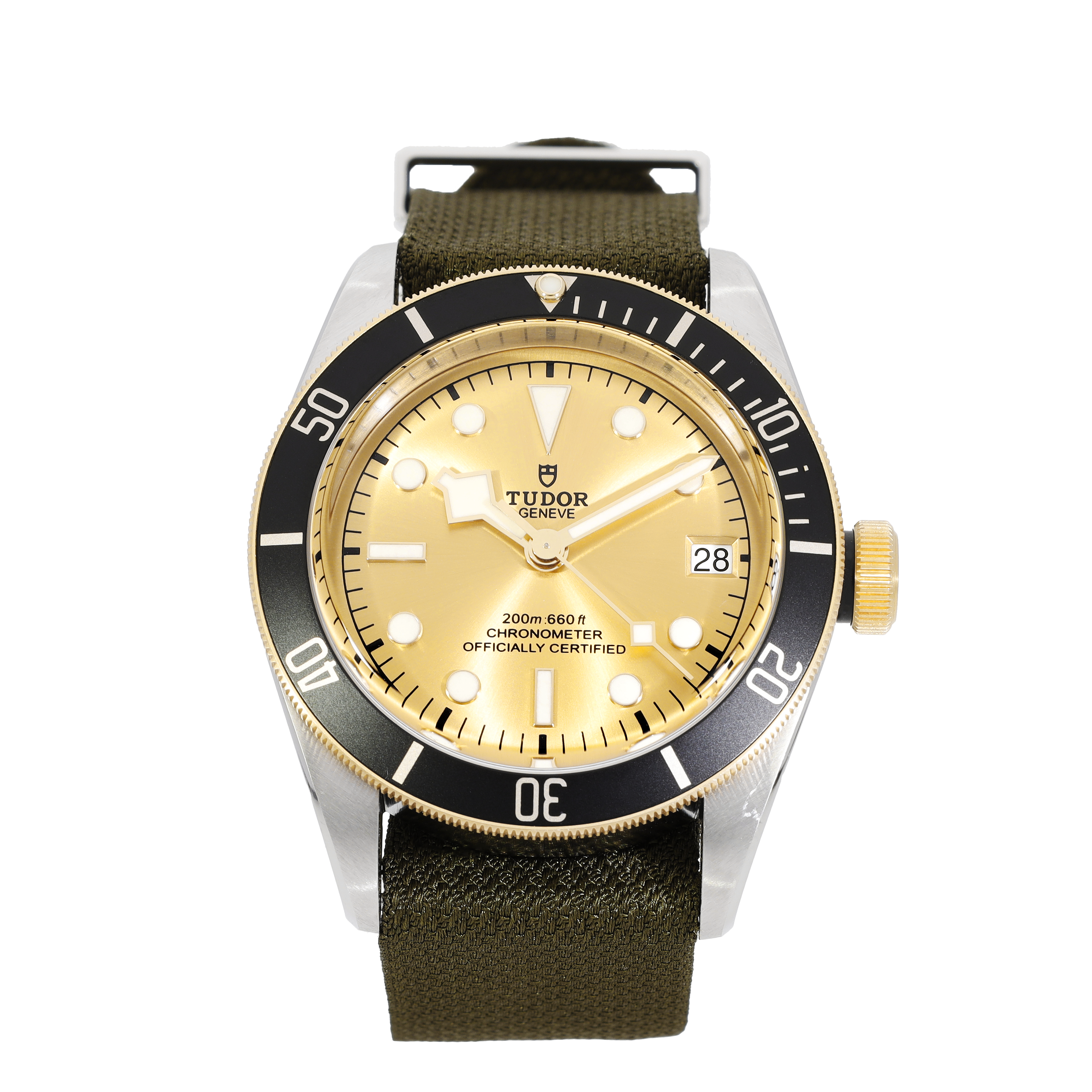 Tudor Black Bay 79733N