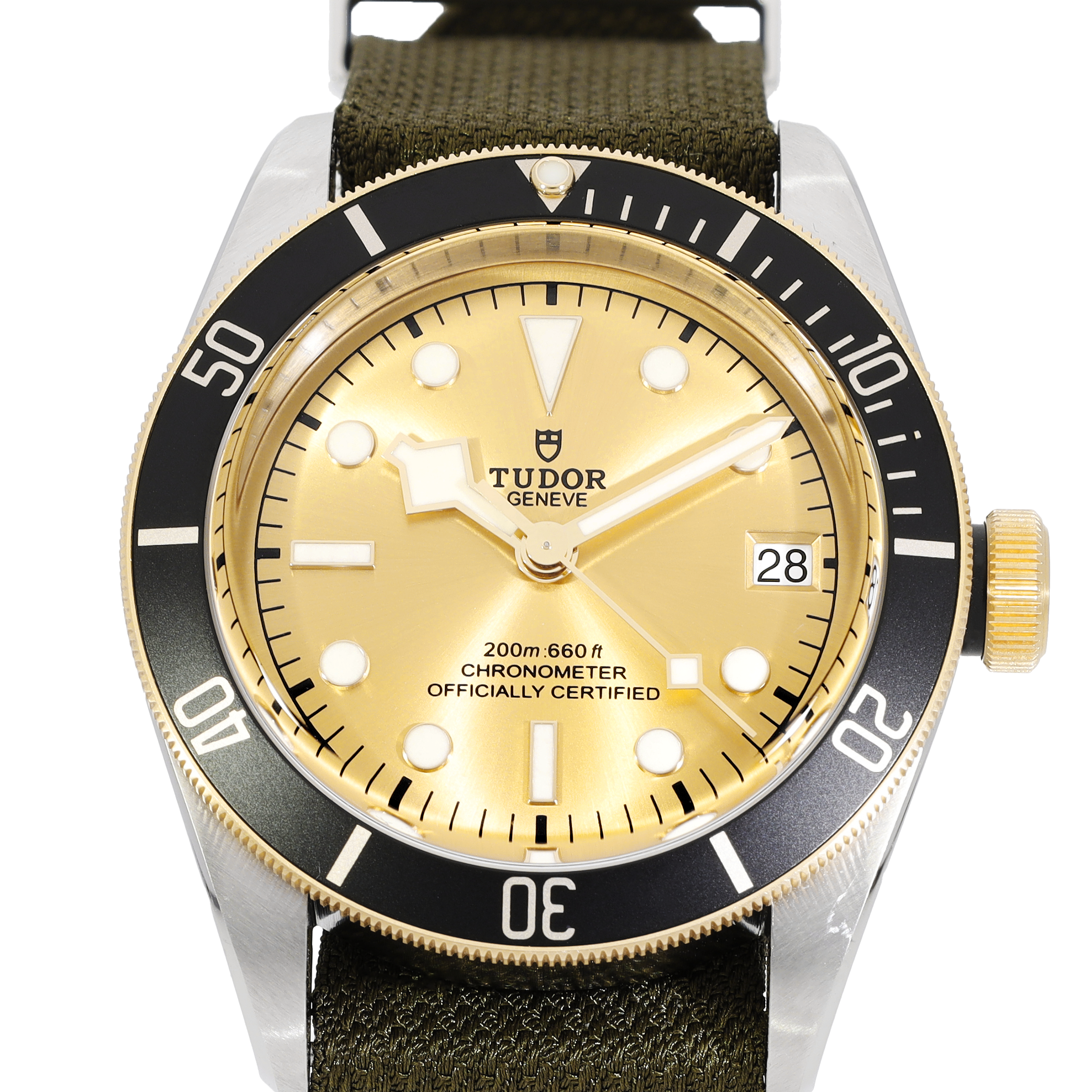 Tudor Black Bay 79733N