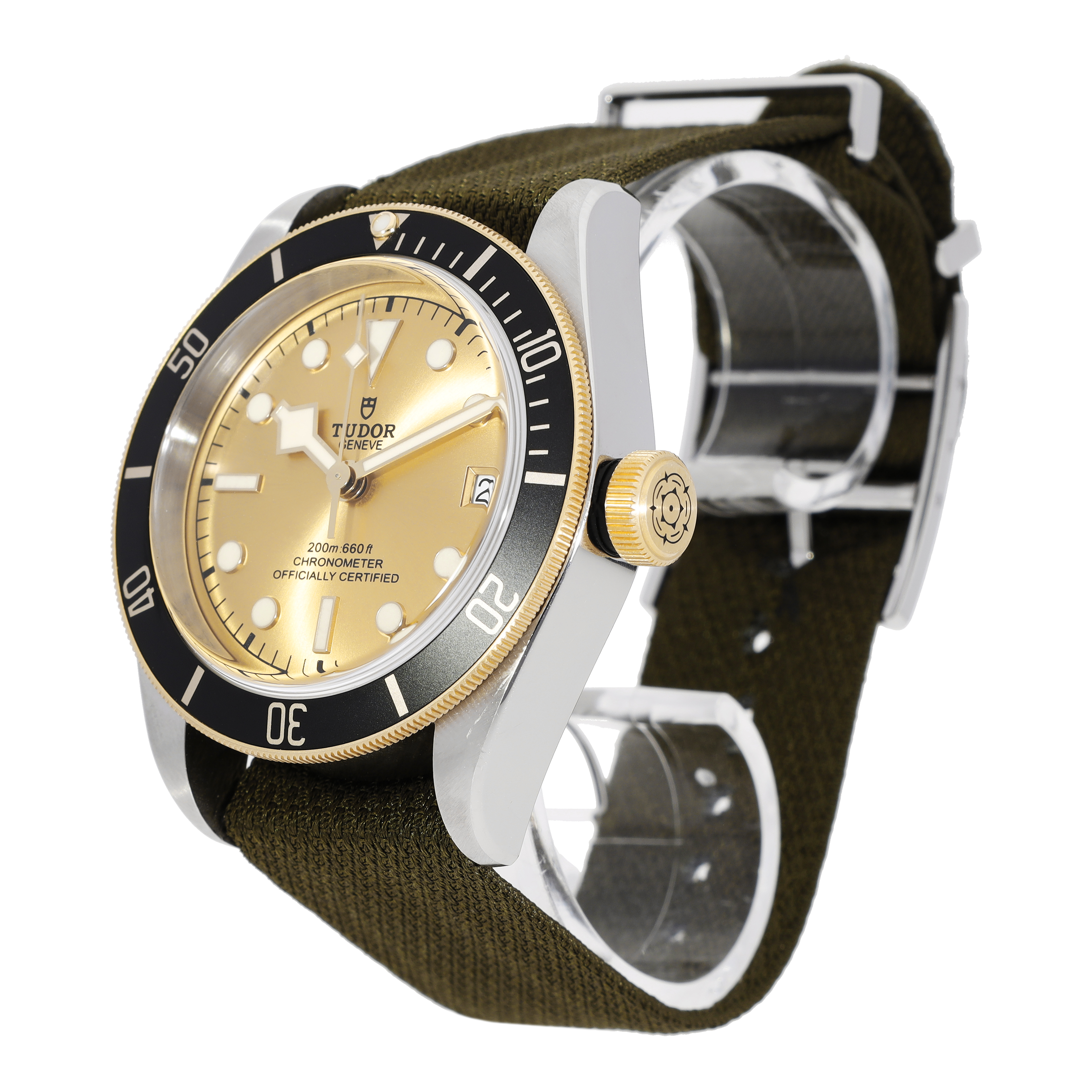 Tudor Black Bay 79733N