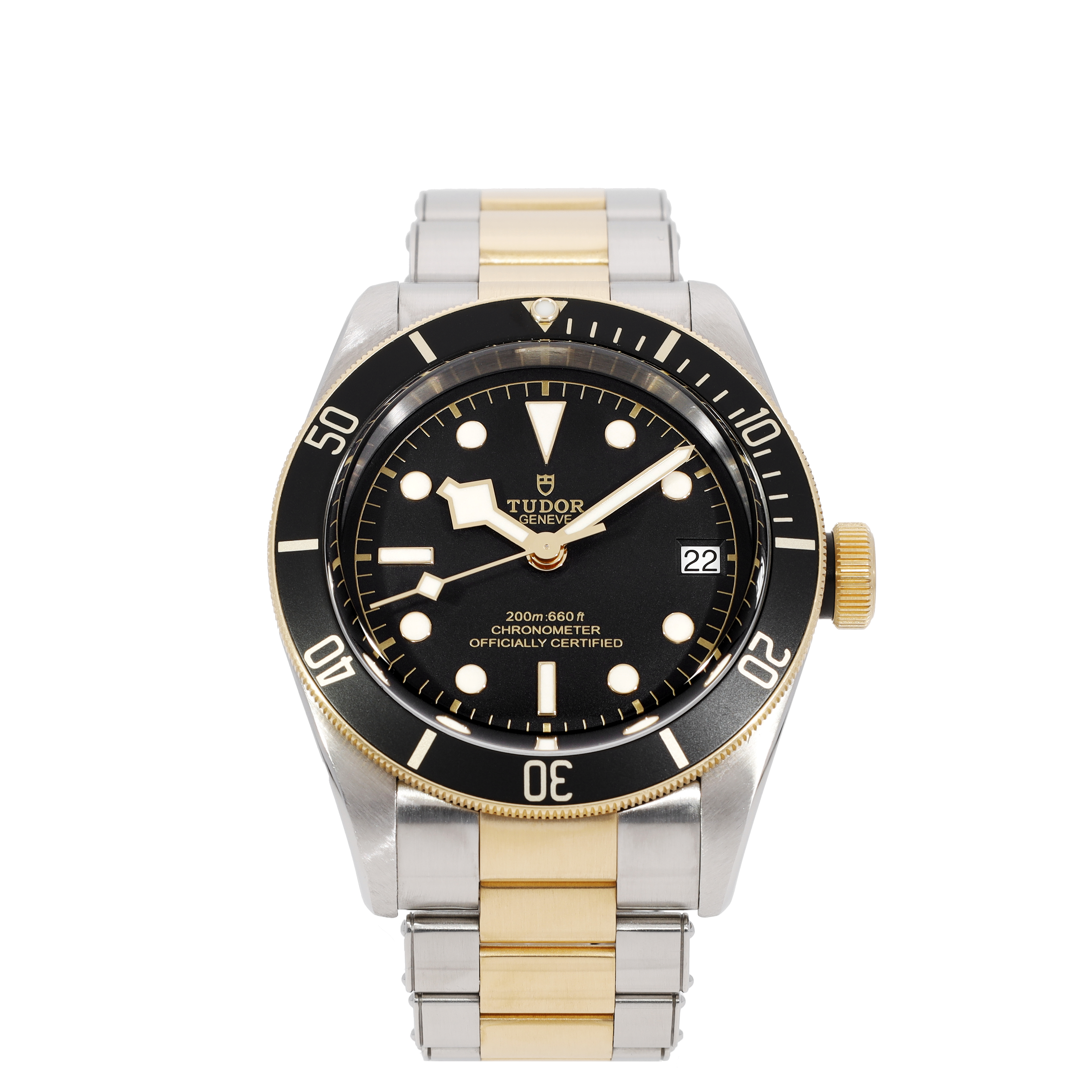 Tudor Black Bay 79733N
