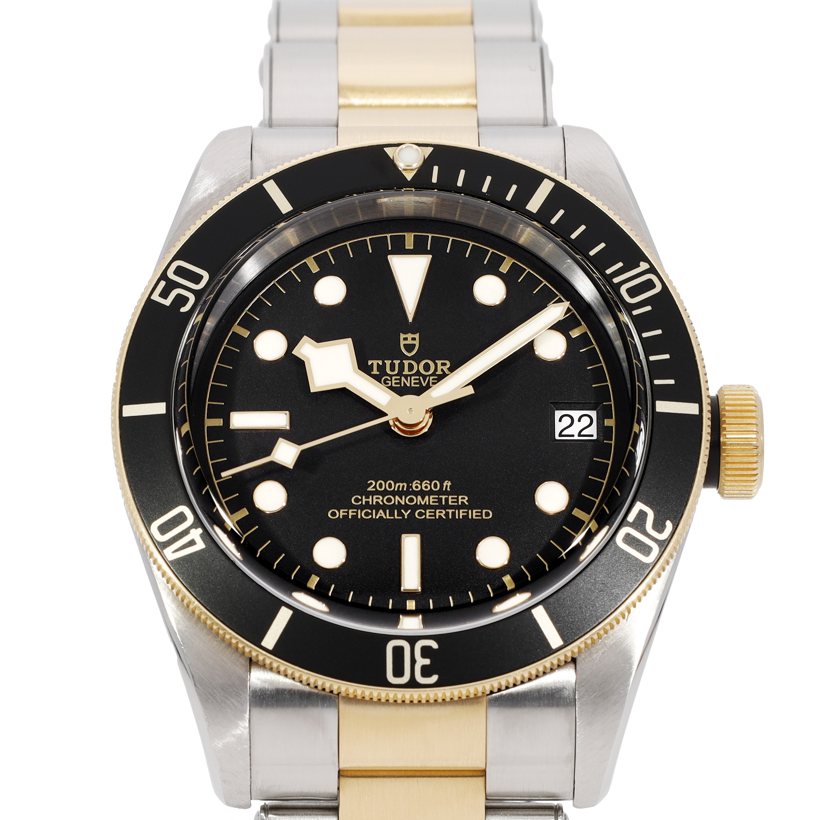 Tudor Black Bay 79733N