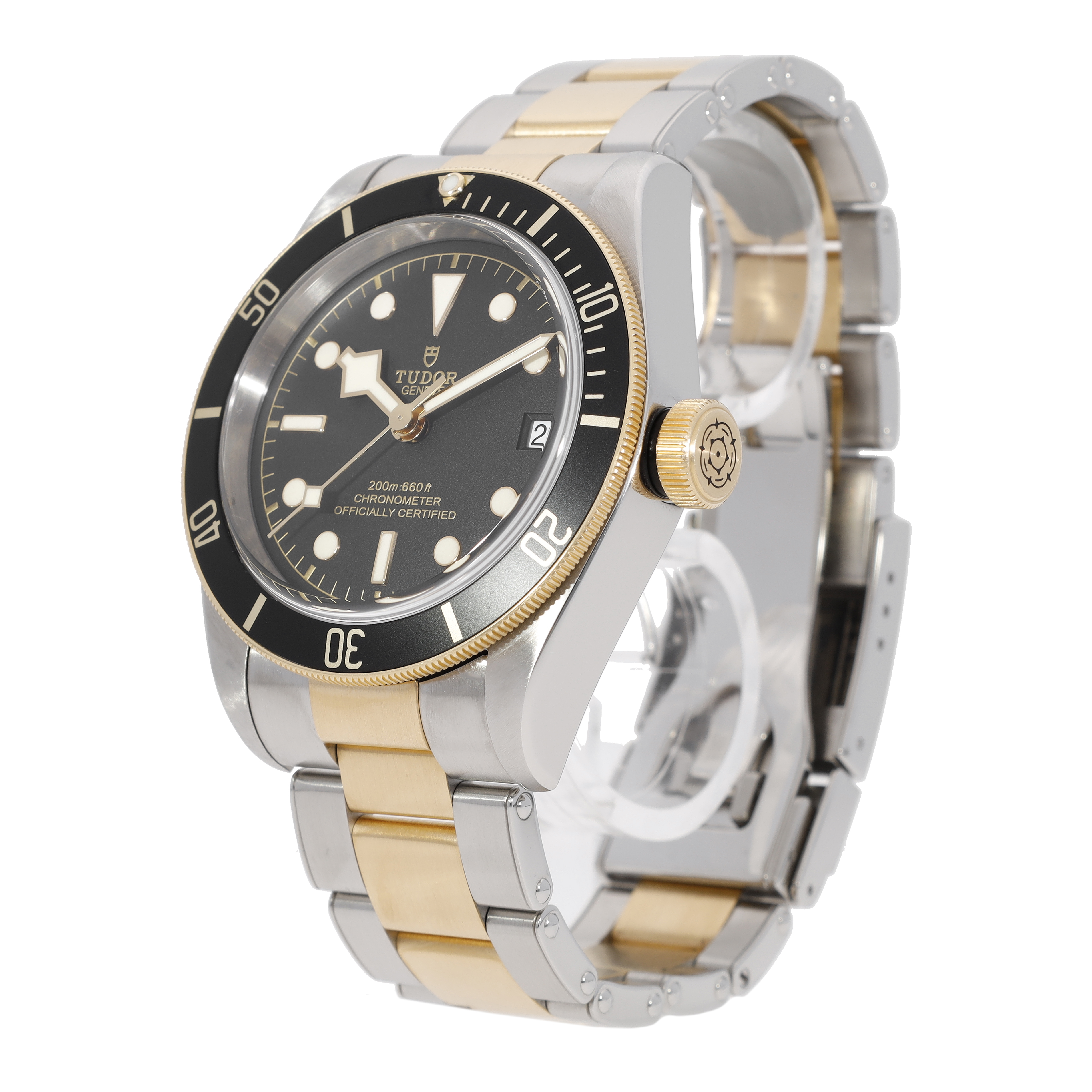 Tudor Black Bay 79733N