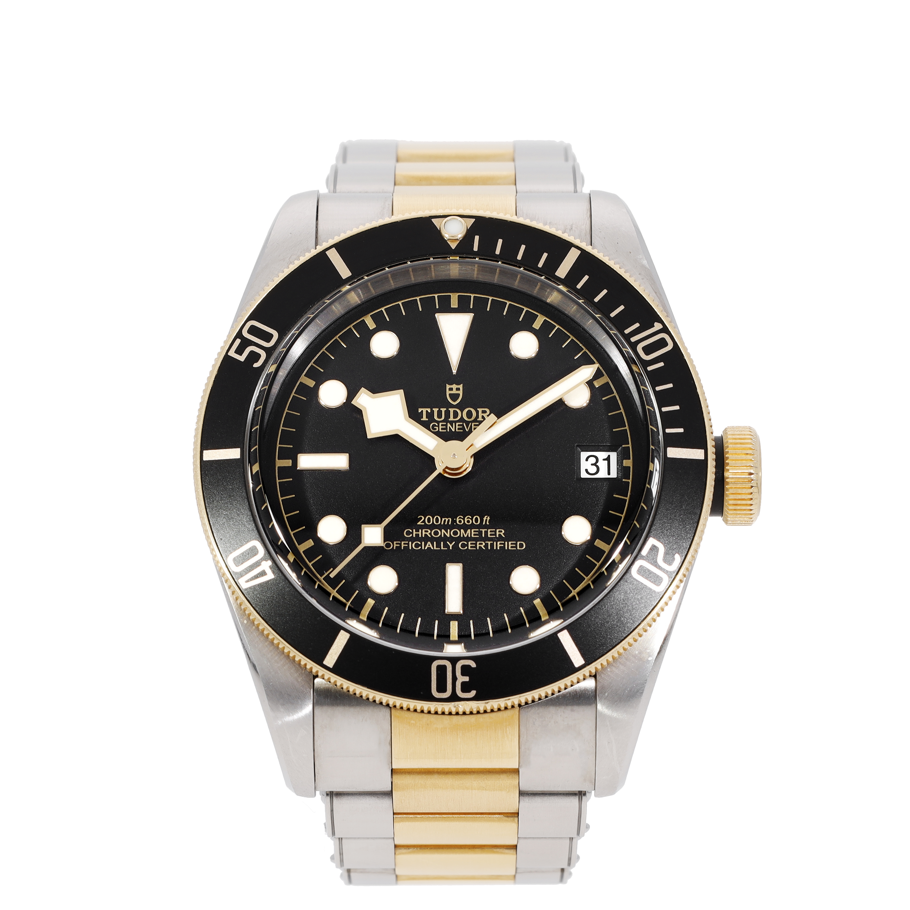 Tudor Black Bay 79733N