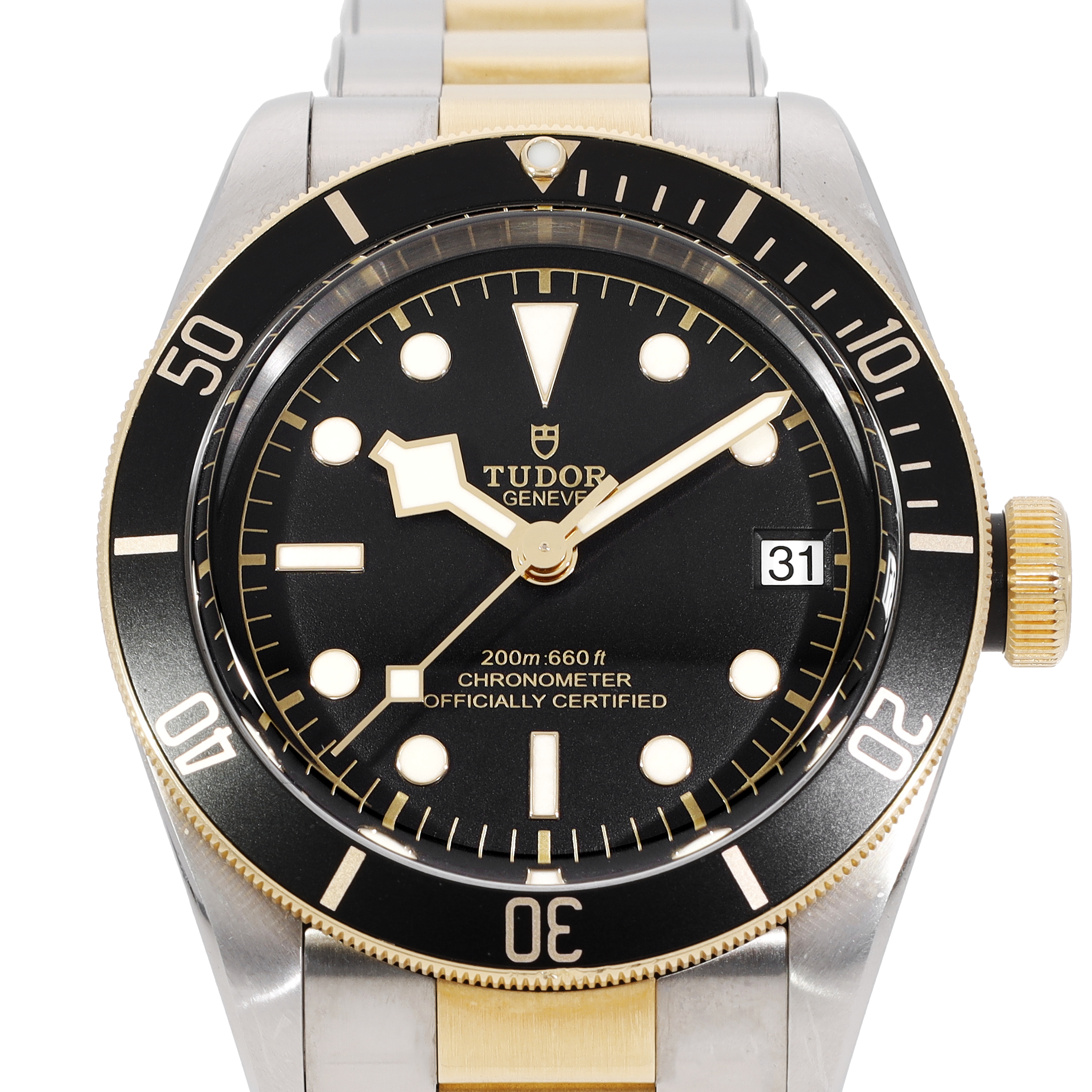 Tudor Black Bay 79733N