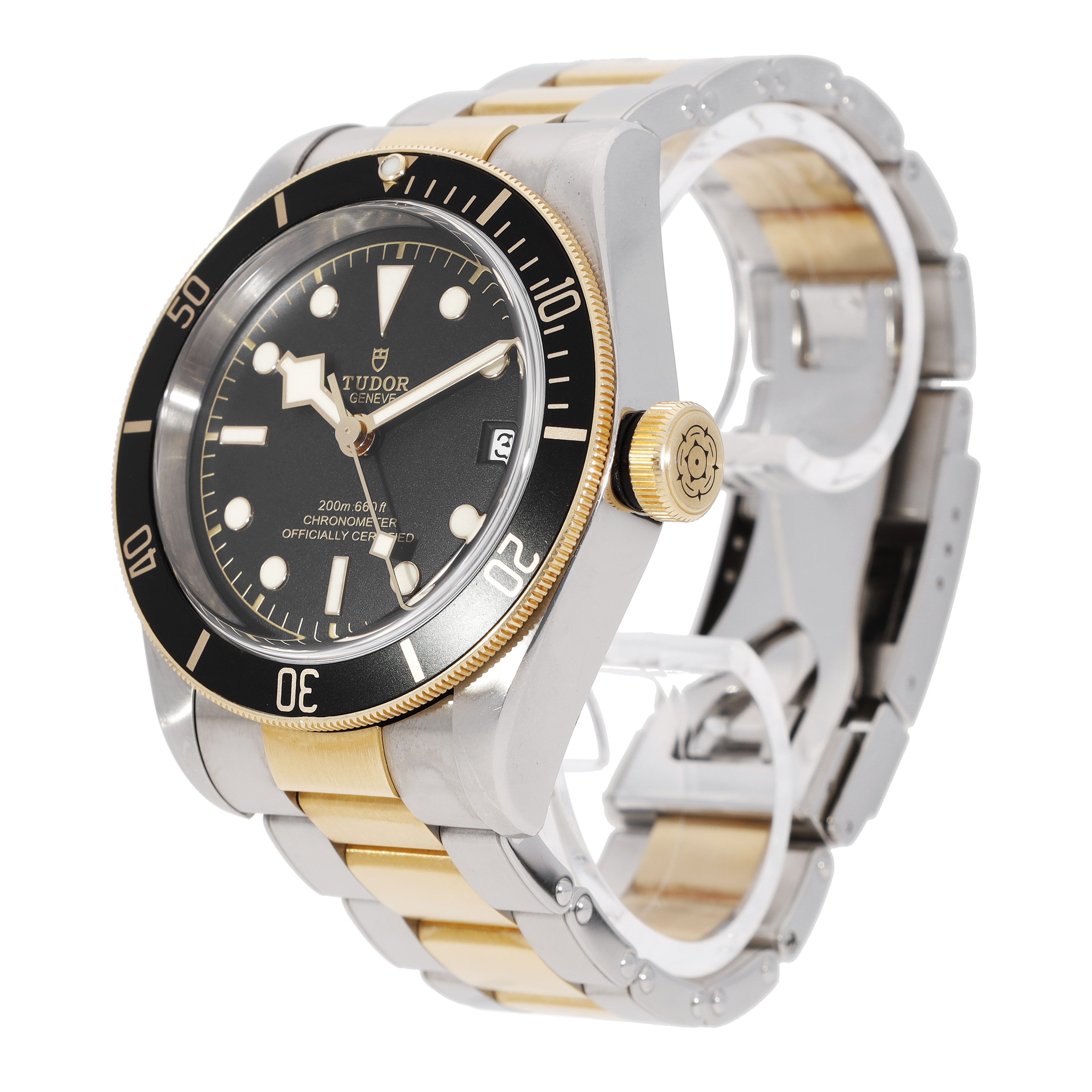 Tudor Black Bay 79733N