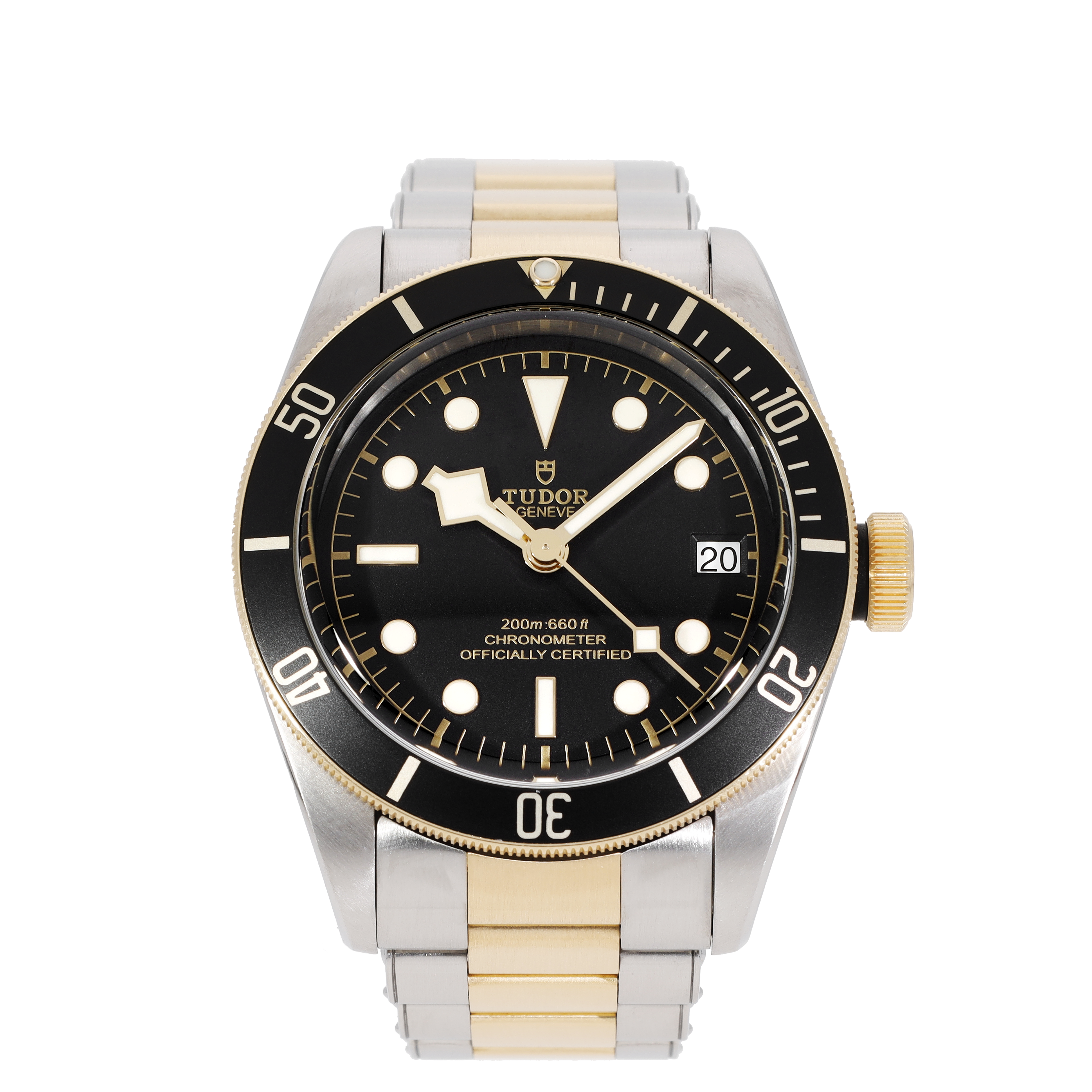 Tudor Black Bay 79733N