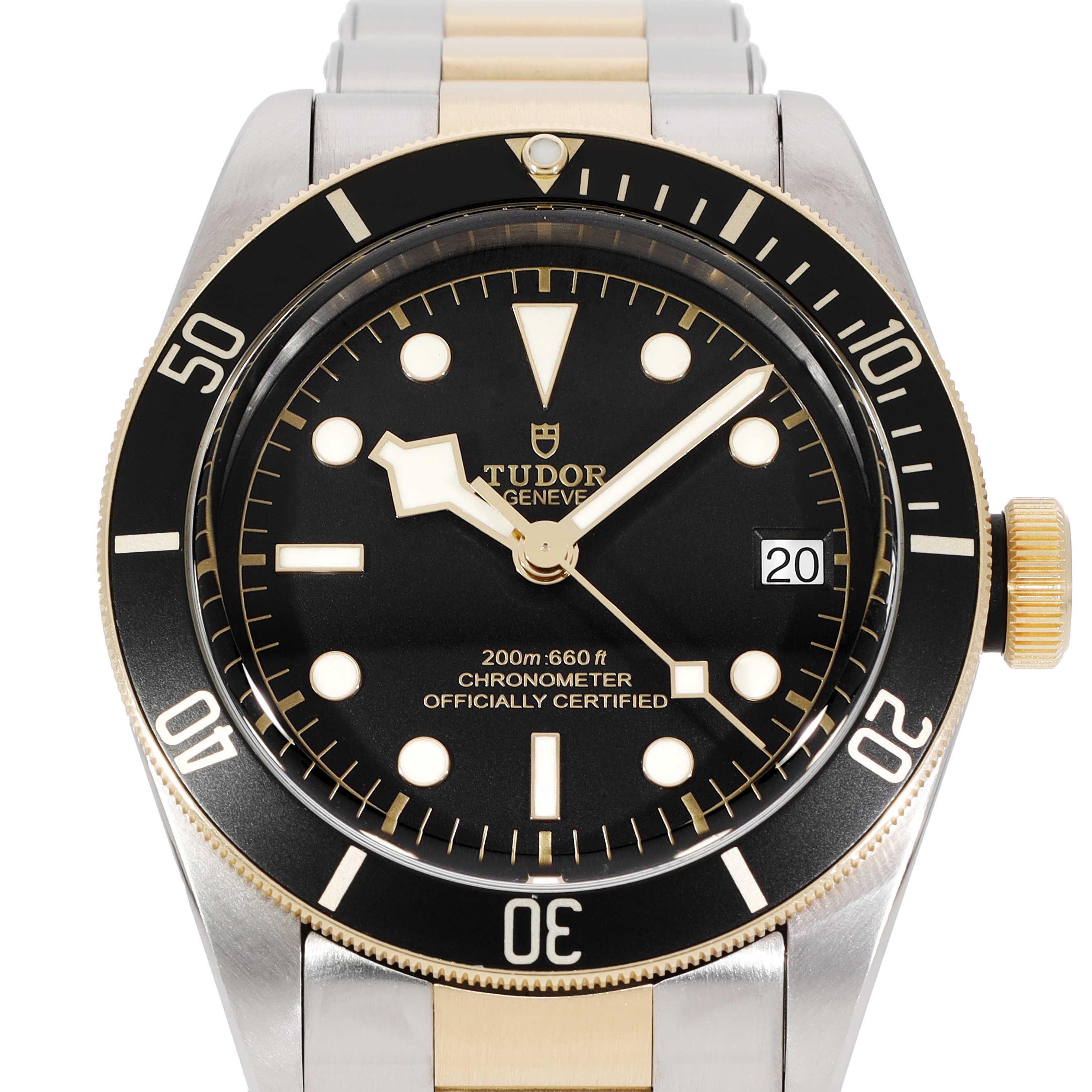Tudor Black Bay 79733N