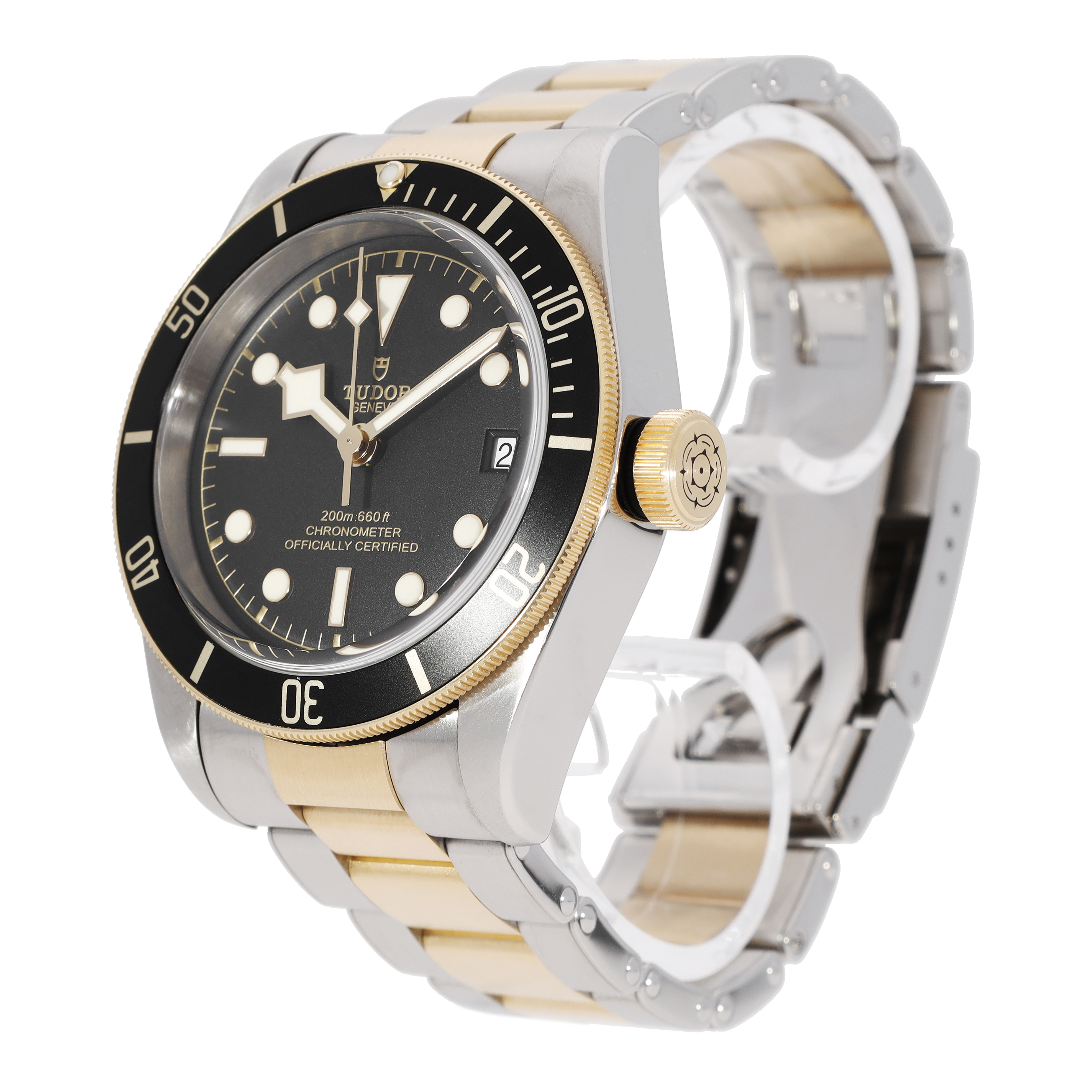 Tudor Black Bay 79733N