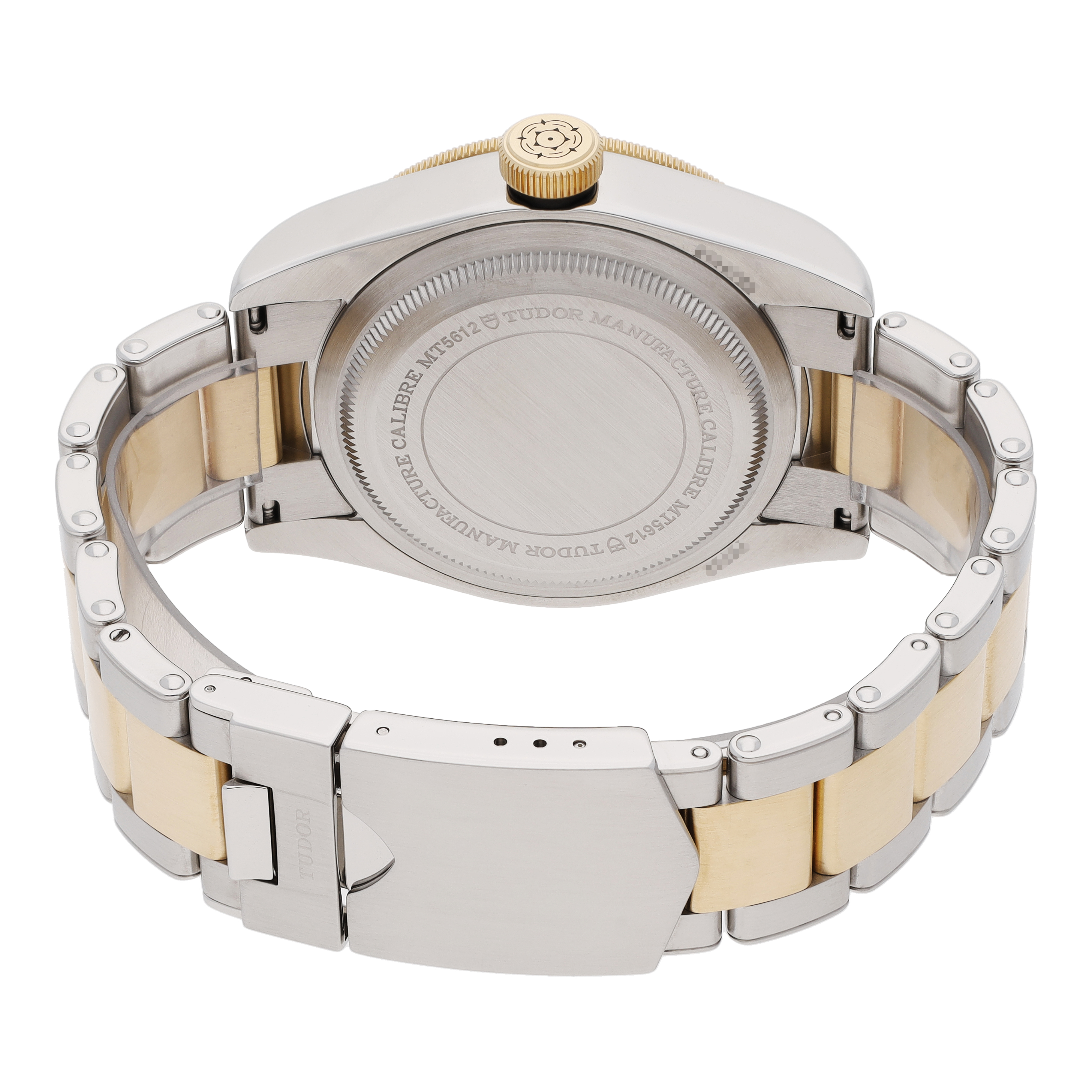 Tudor Black Bay 79733N