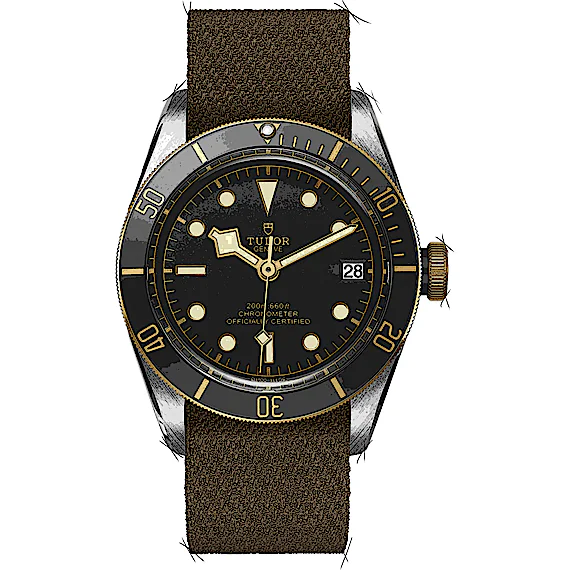 Tudor Black Bay 79733N Tudor Black Bay 79733N