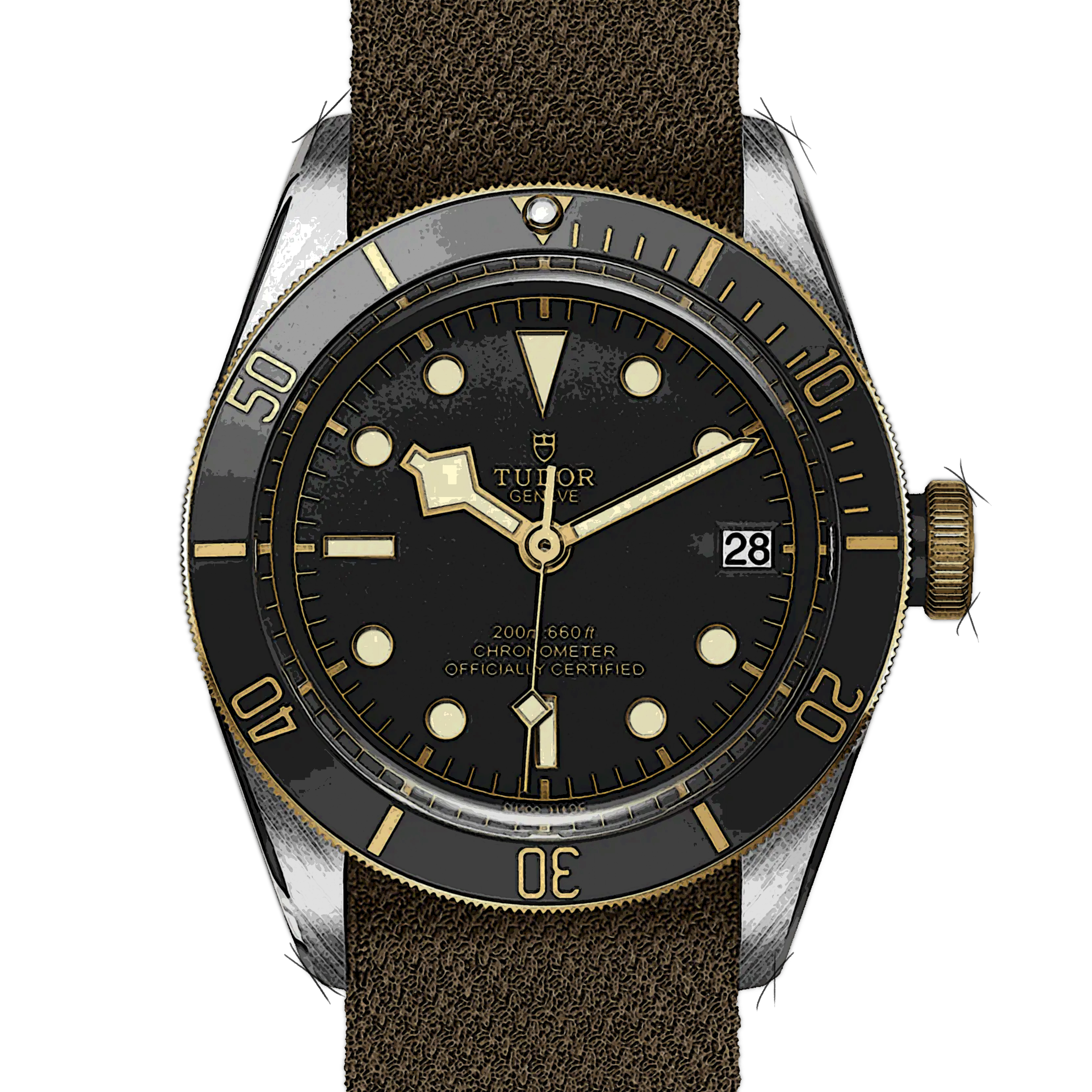 Tudor Black Bay 79733N