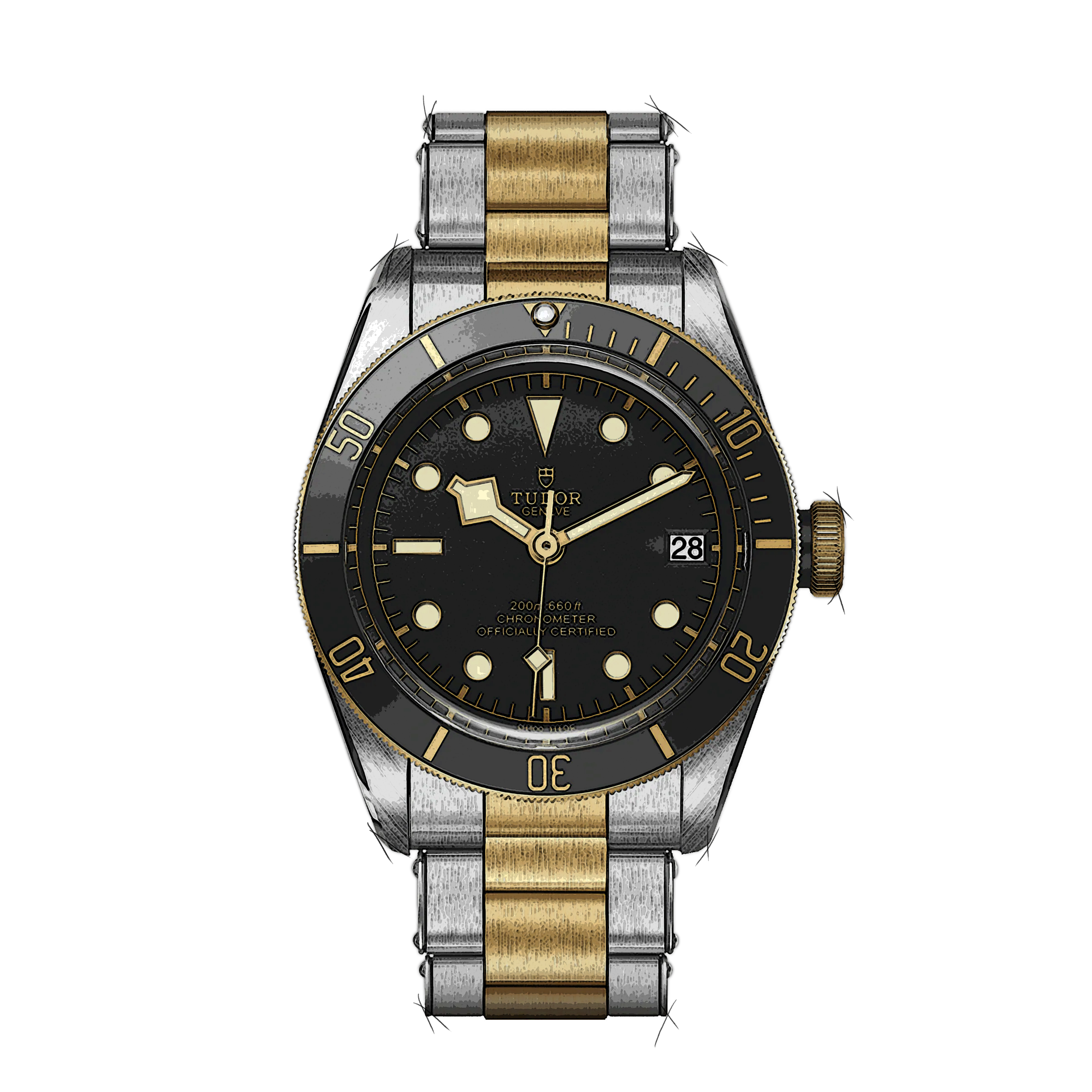 Tudor Black Bay 79733N