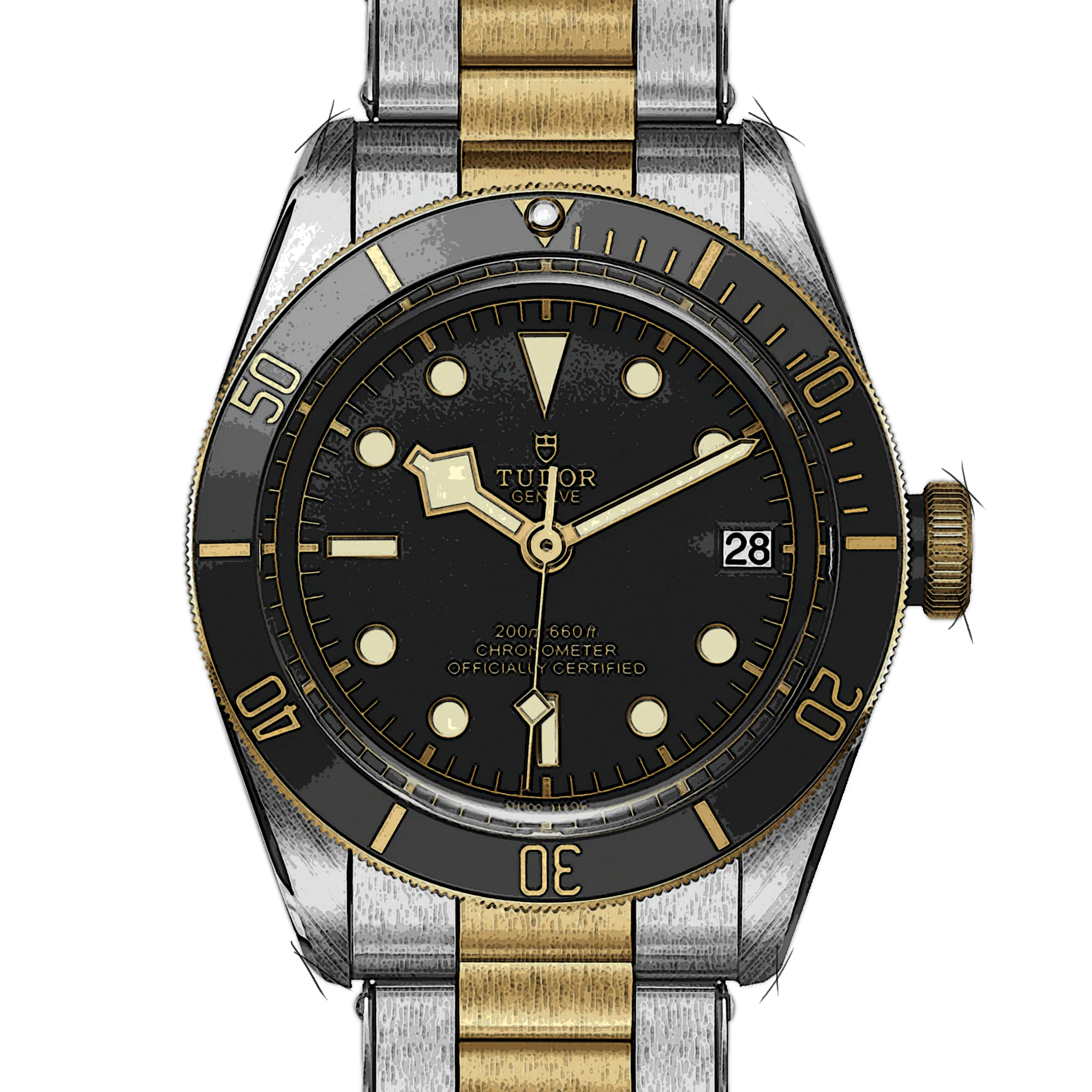 Tudor Black Bay 79733N