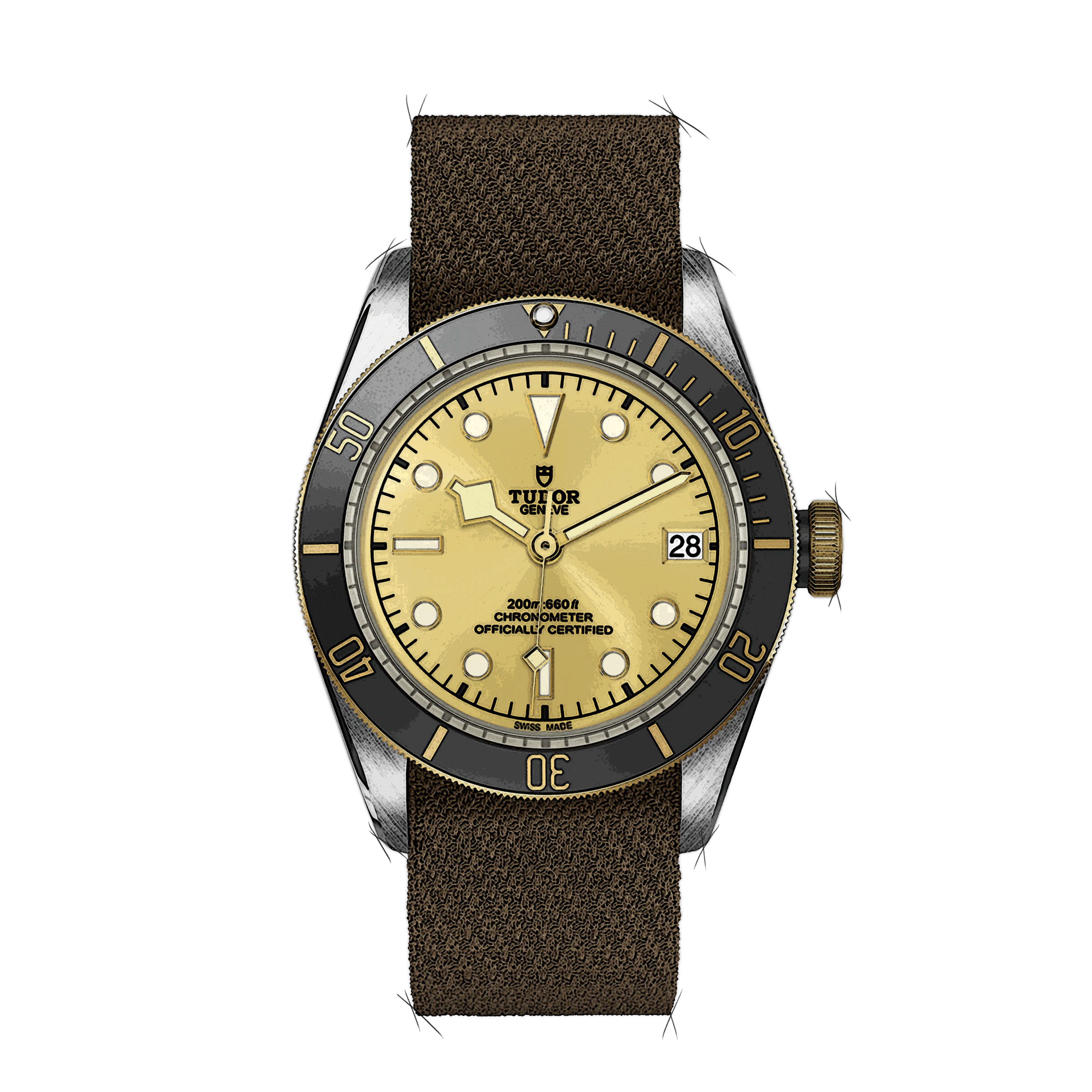 Tudor Black Bay 79733N