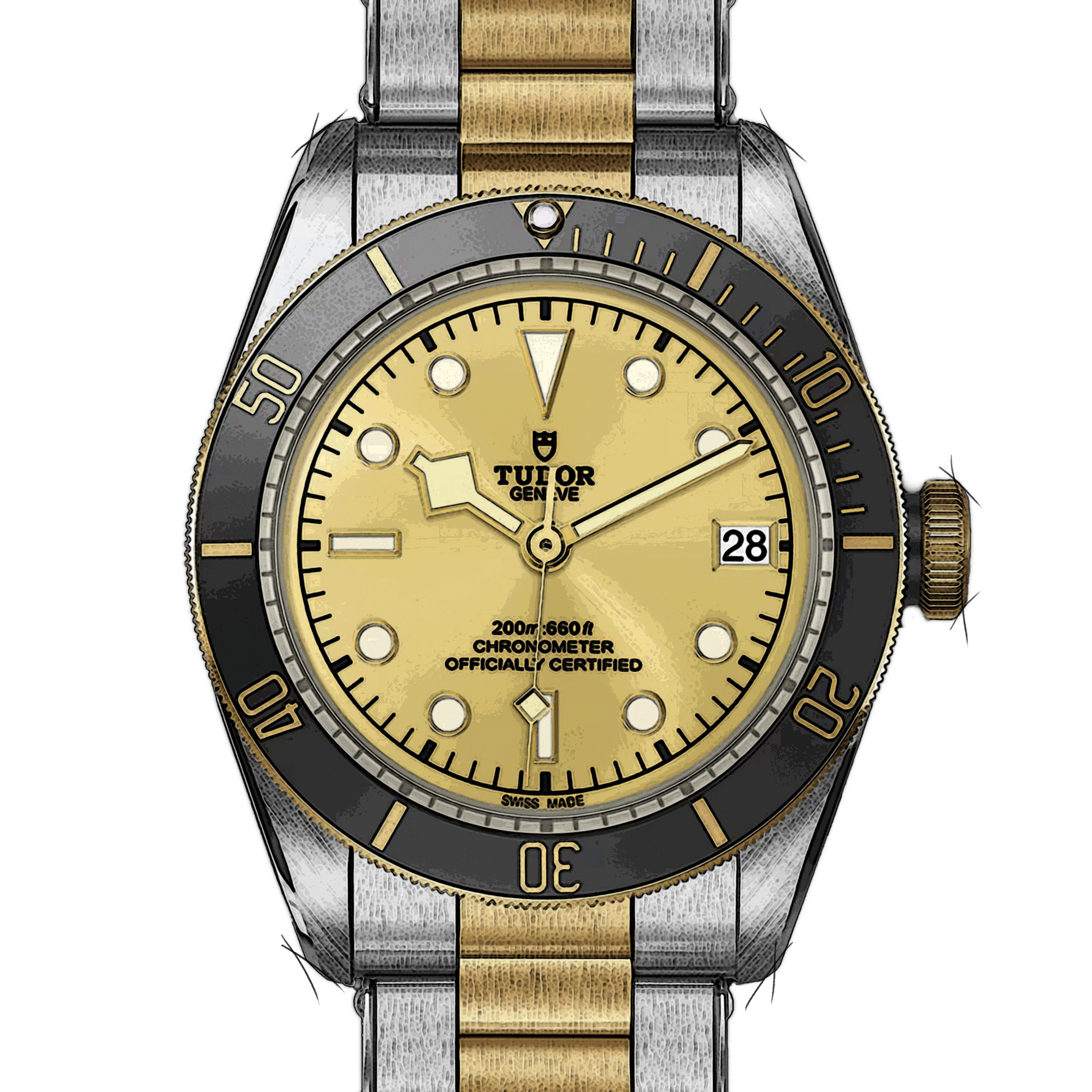 Tudor Black Bay 79733N