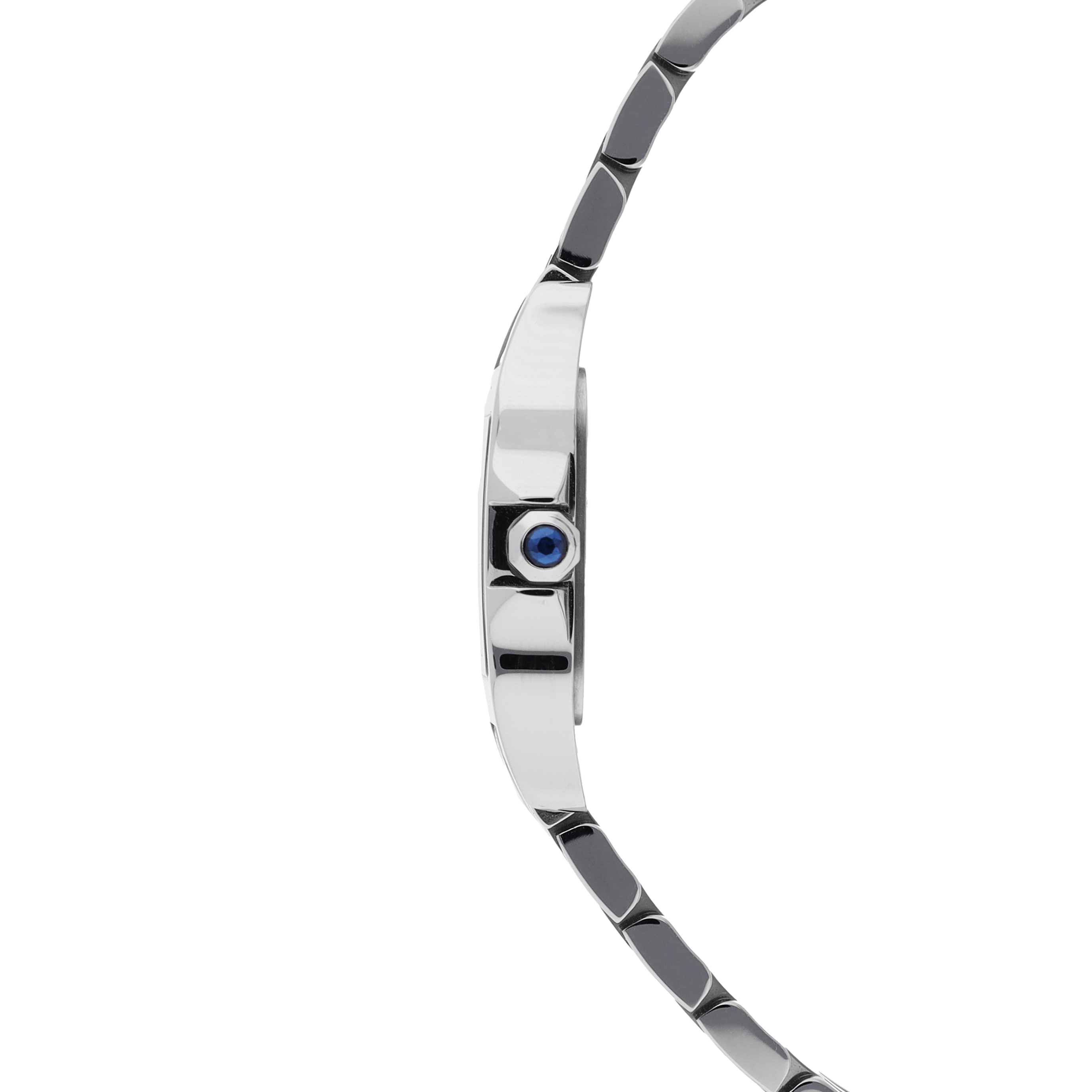 Cartier Santos W25064Z5