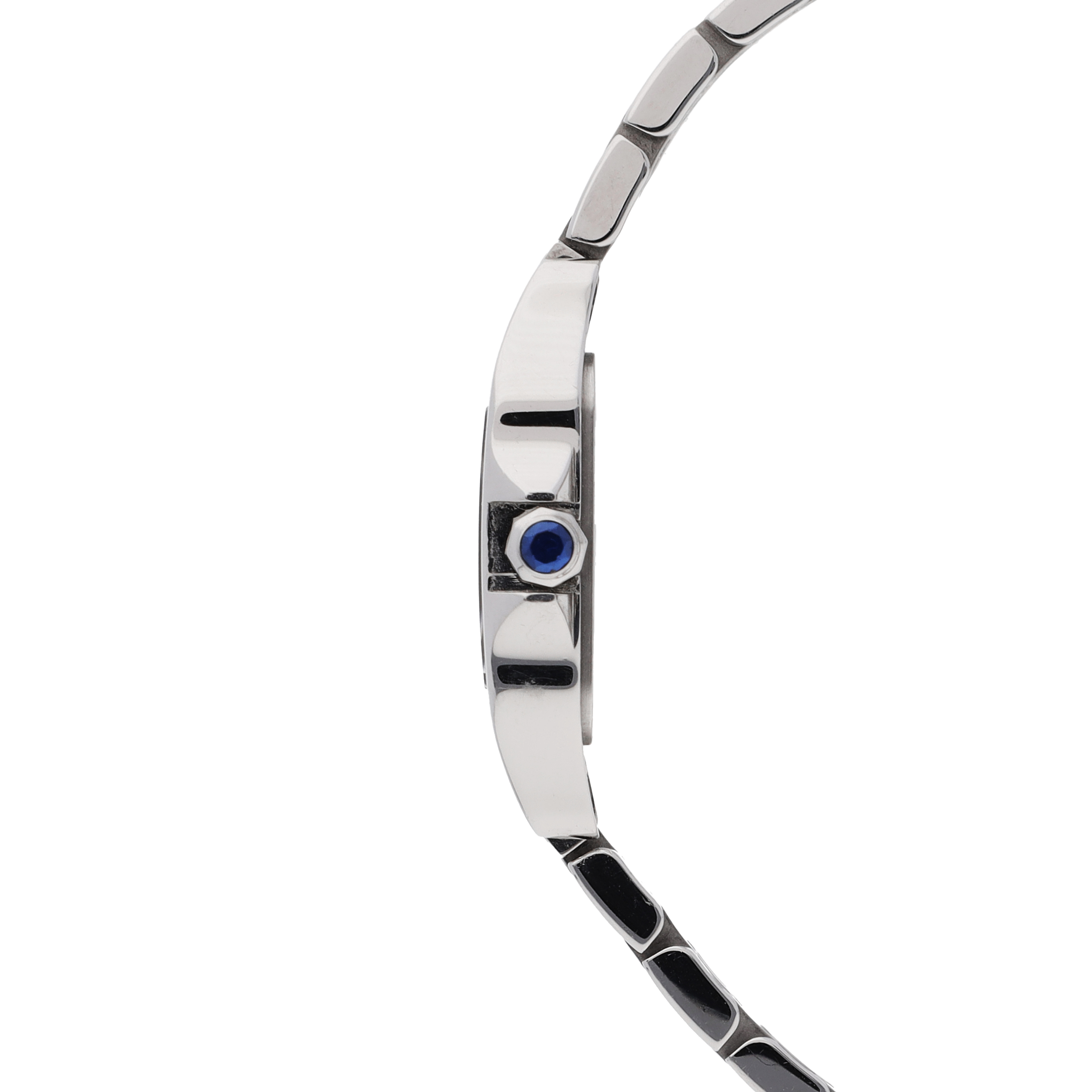 Cartier Santos W25064Z5