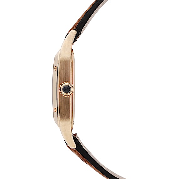 Cartier Santos WGSA0022 Cartier Santos WGSA0022