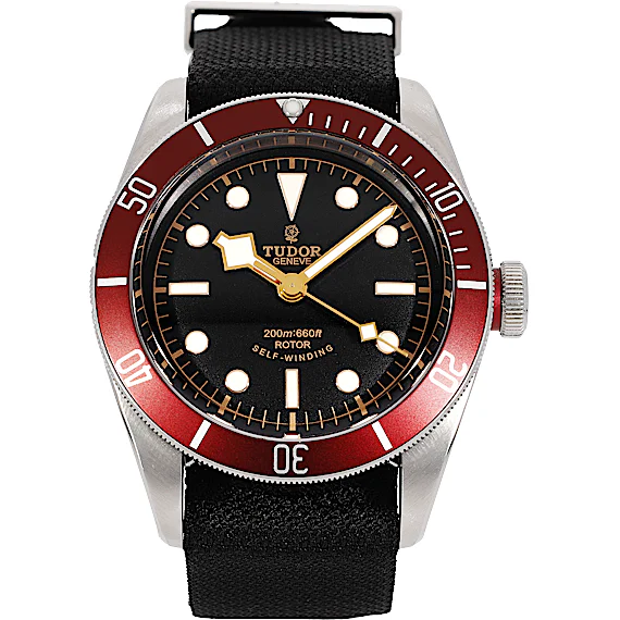 Tudor Black Bay 79220R Tudor Black Bay 79220R