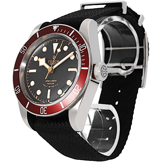 Tudor Black Bay 79220R Tudor Black Bay 79220R