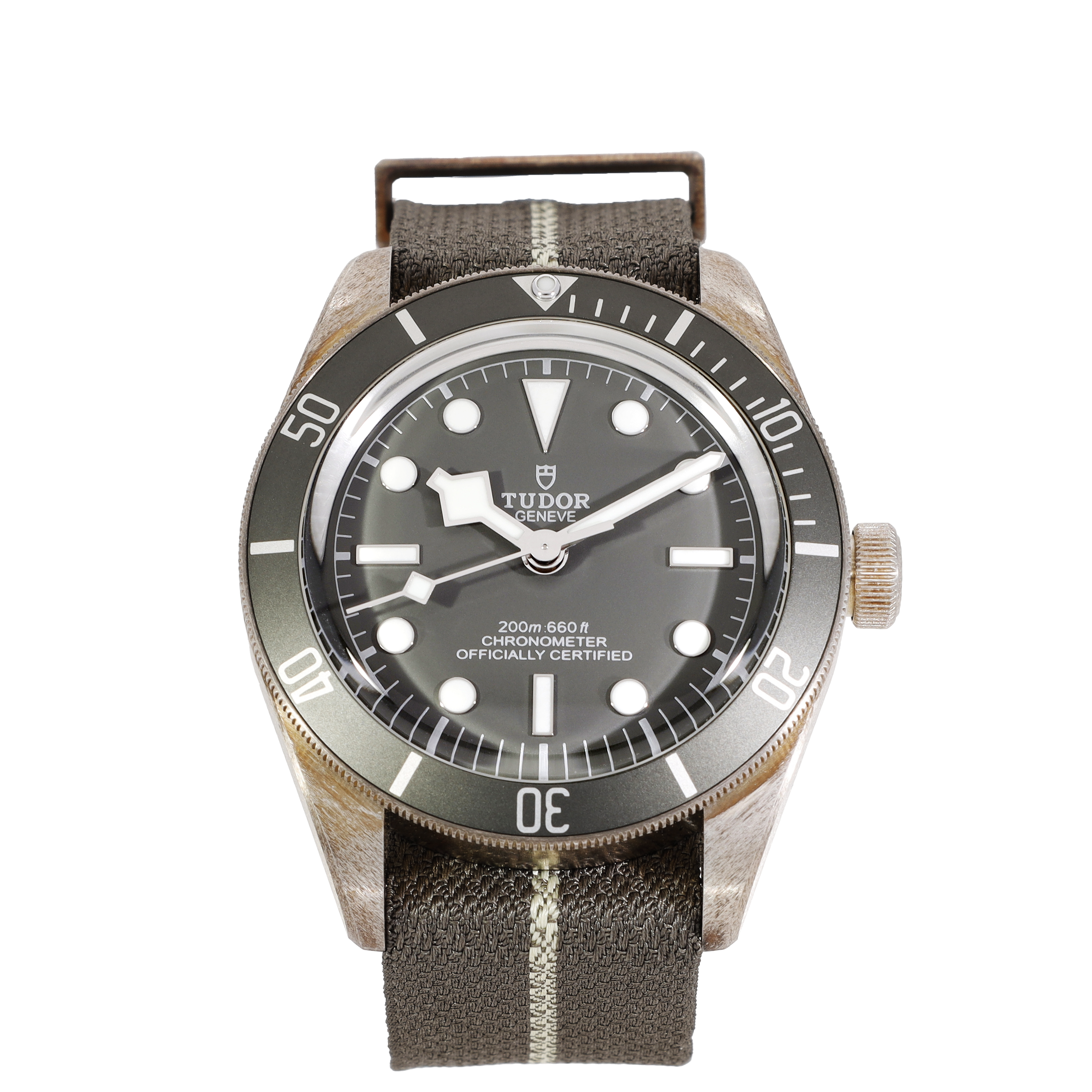 Tudor Black Bay 79010SG