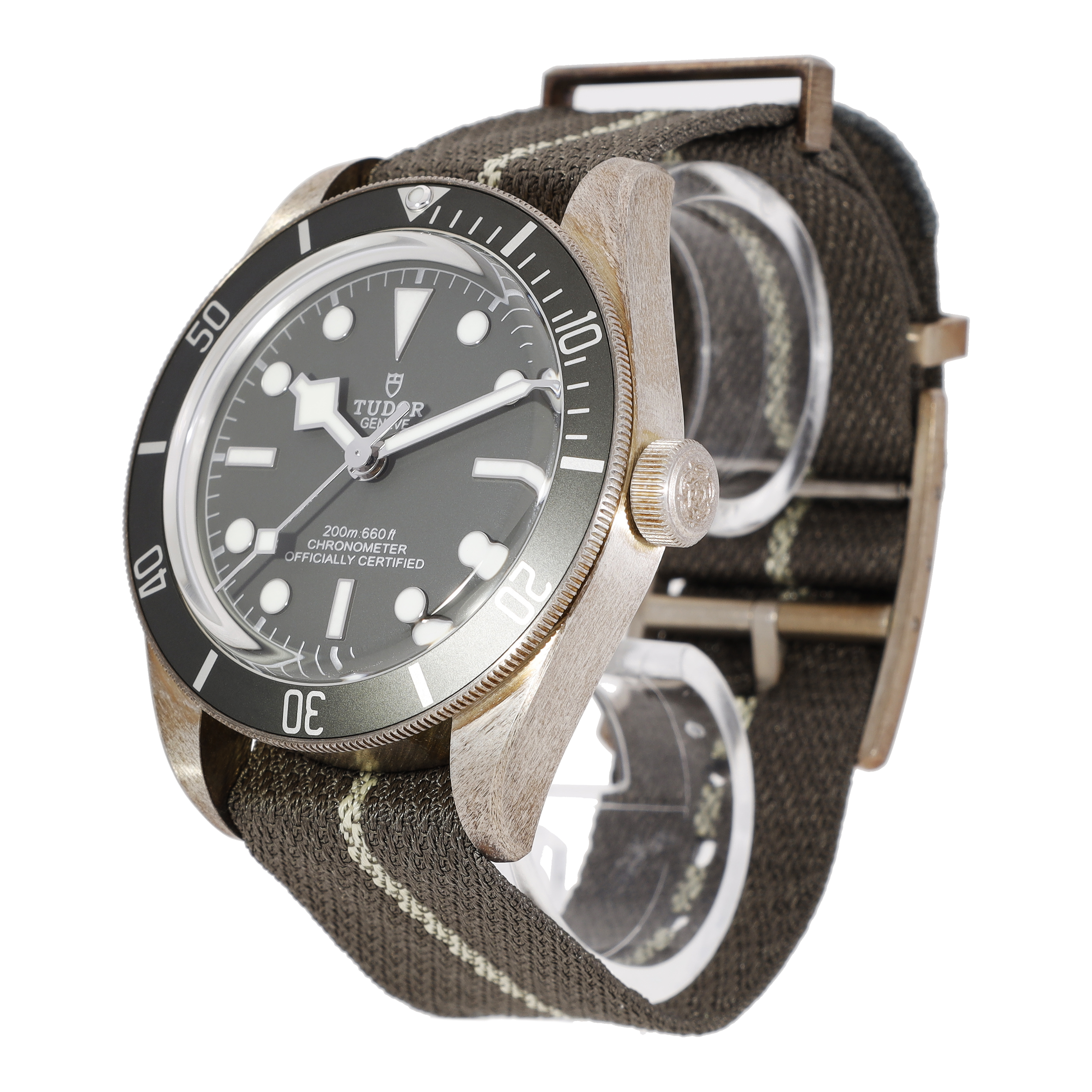 Tudor Black Bay 79010SG